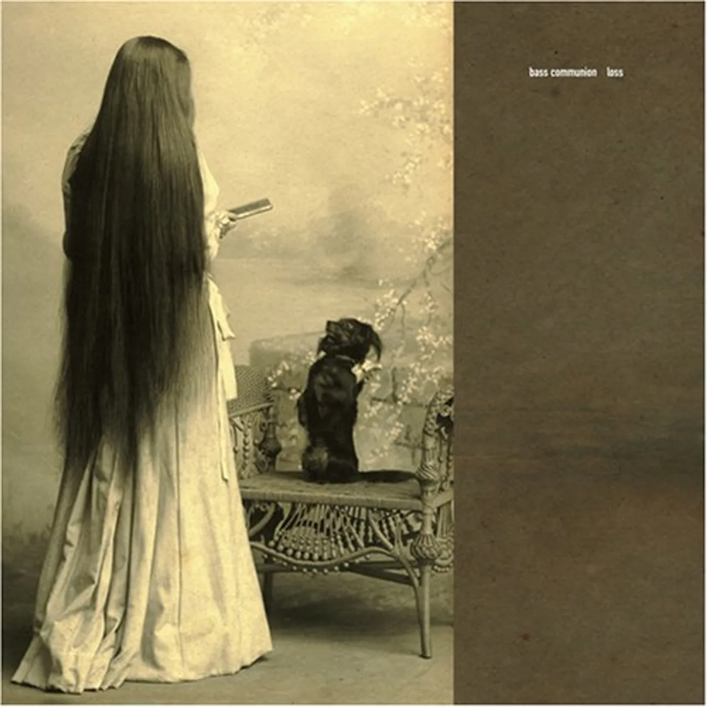 Bass Communion LOSS DVD Audio CD