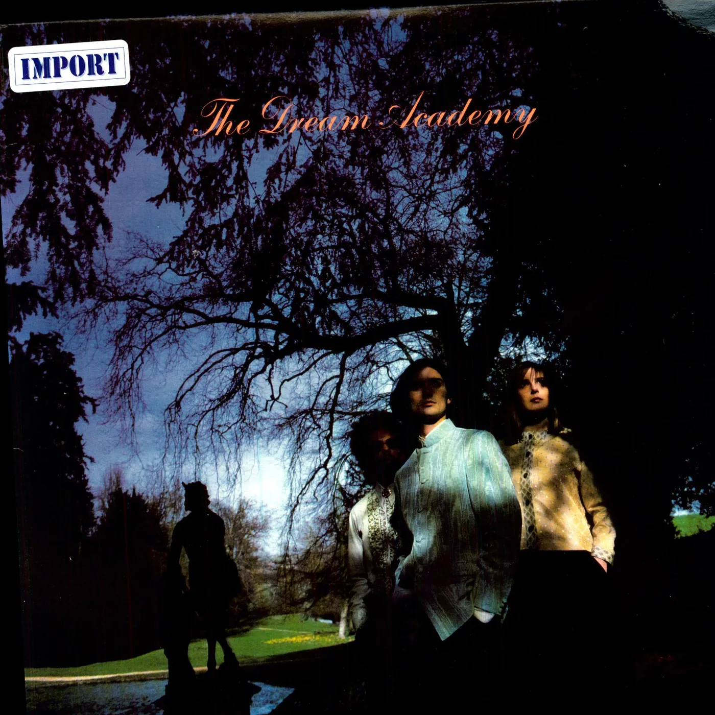 The Dream Academy Vinyl Record