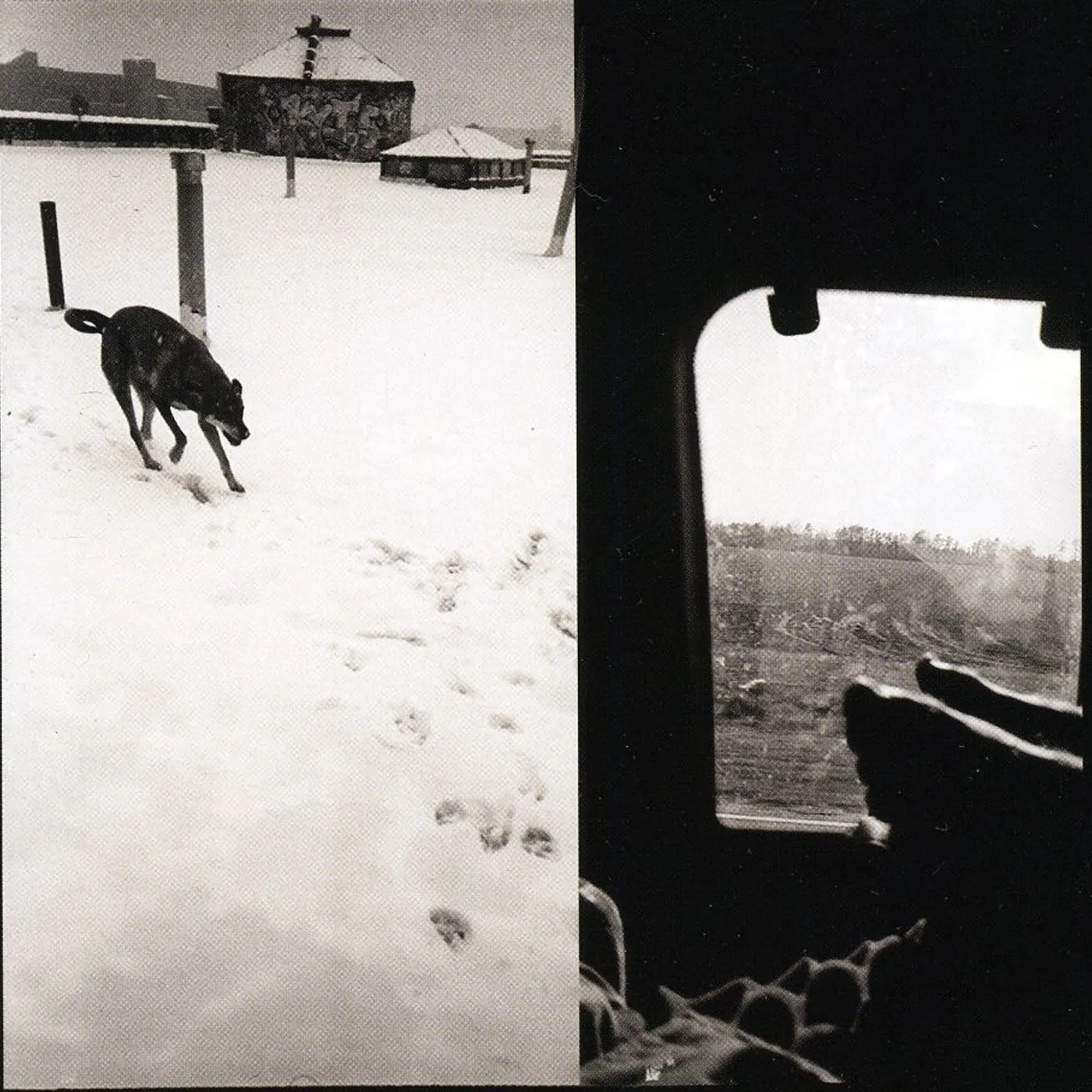 Braveyoung WE ARE LONELY ANIMALS CD