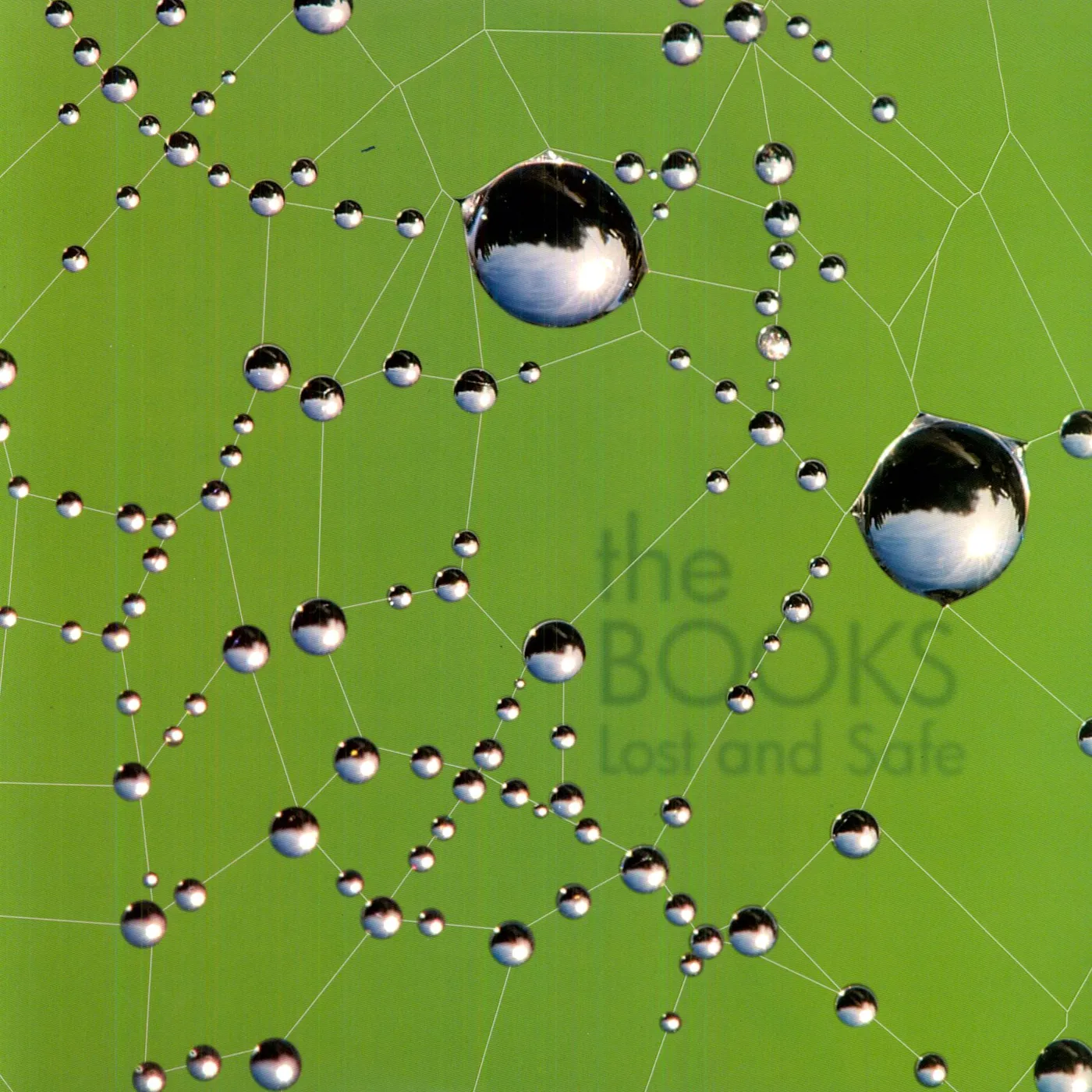 Books Lost And Safe Vinyl Record