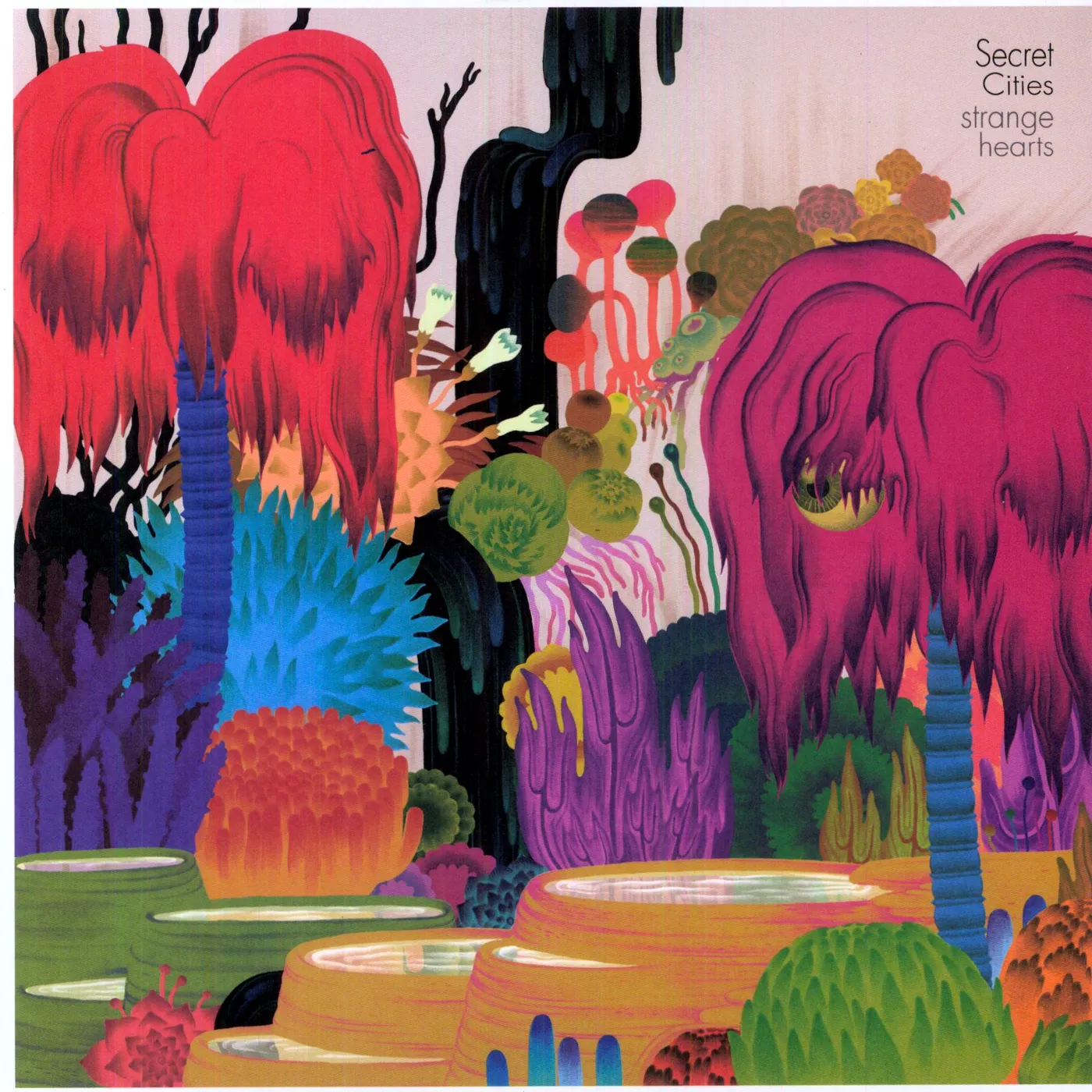Secret Cities Strange Hearts Vinyl Record