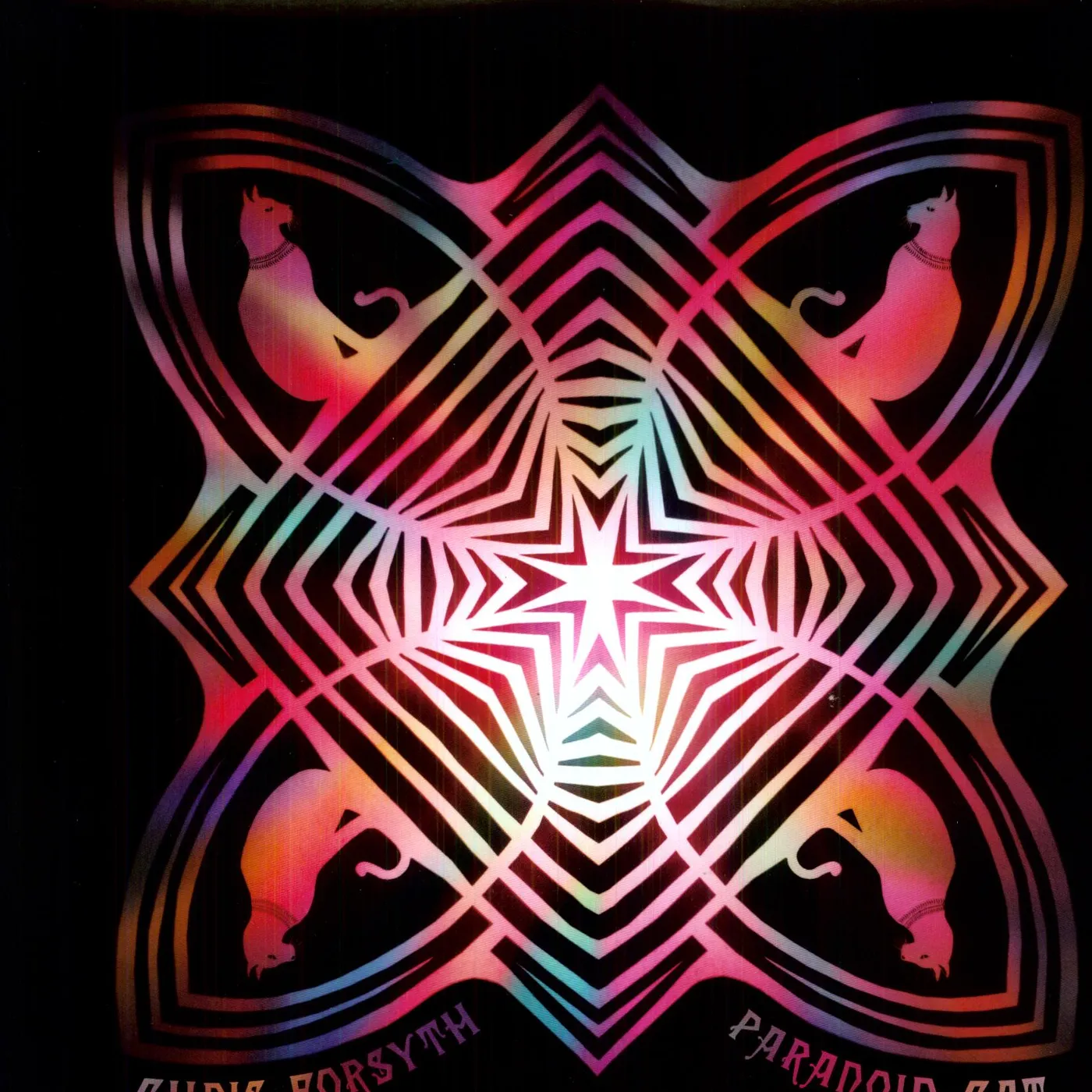 Chris Forsyth Paranoid Cat Vinyl Record