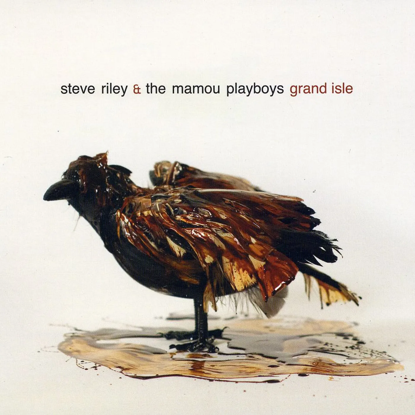 Steve Riley & The Mamou Playboys GRAND ISLE CD