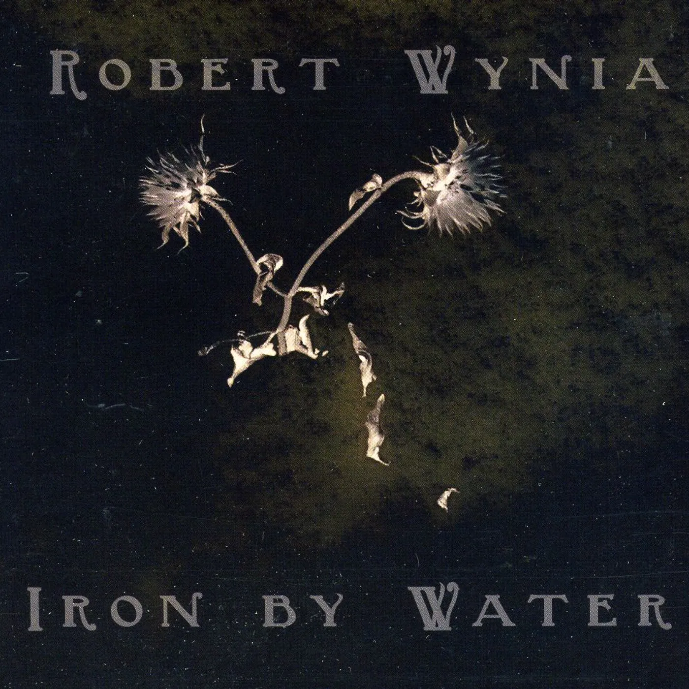 Robert Wynia IRON BY WATER CD