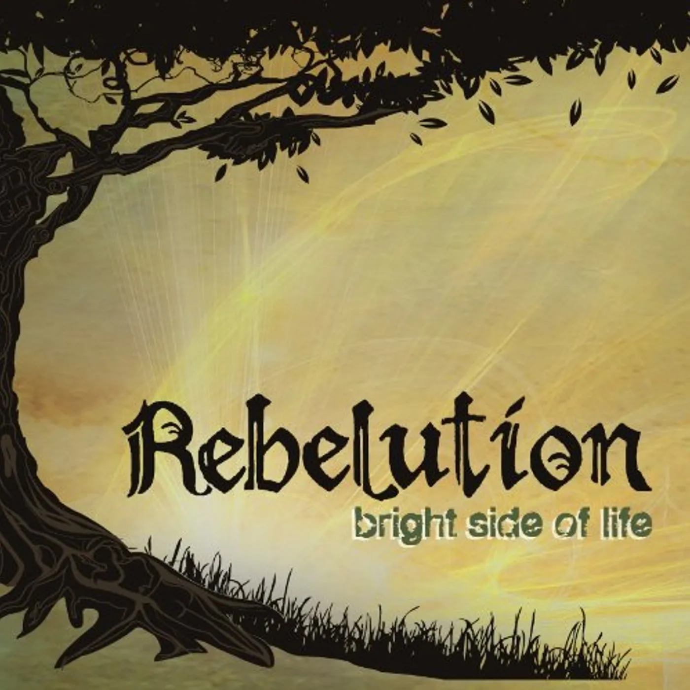 Rebelution Bright Side of Life Vinyl Record