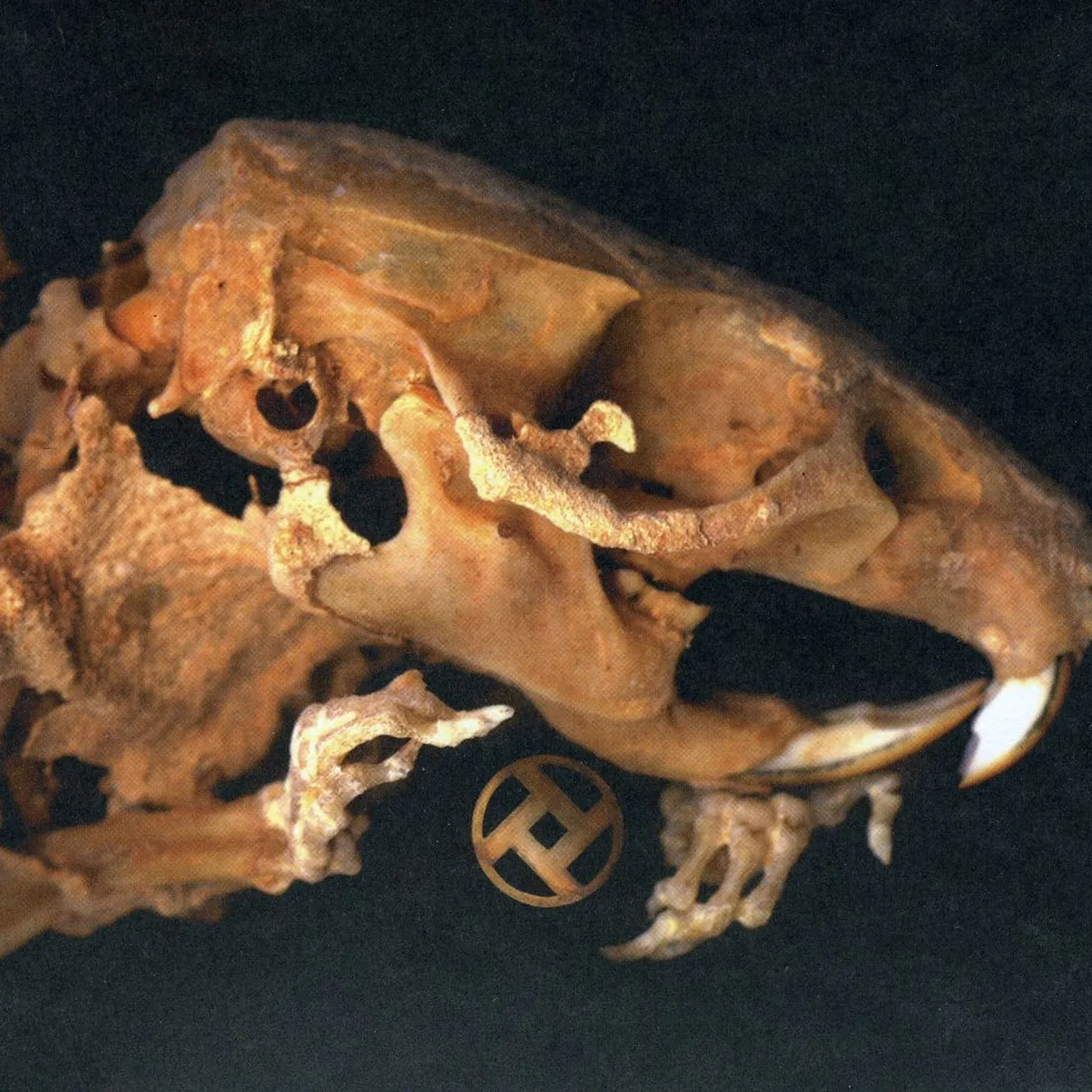 Rot in Hell AS PEARLS BEFORE SWINE CD