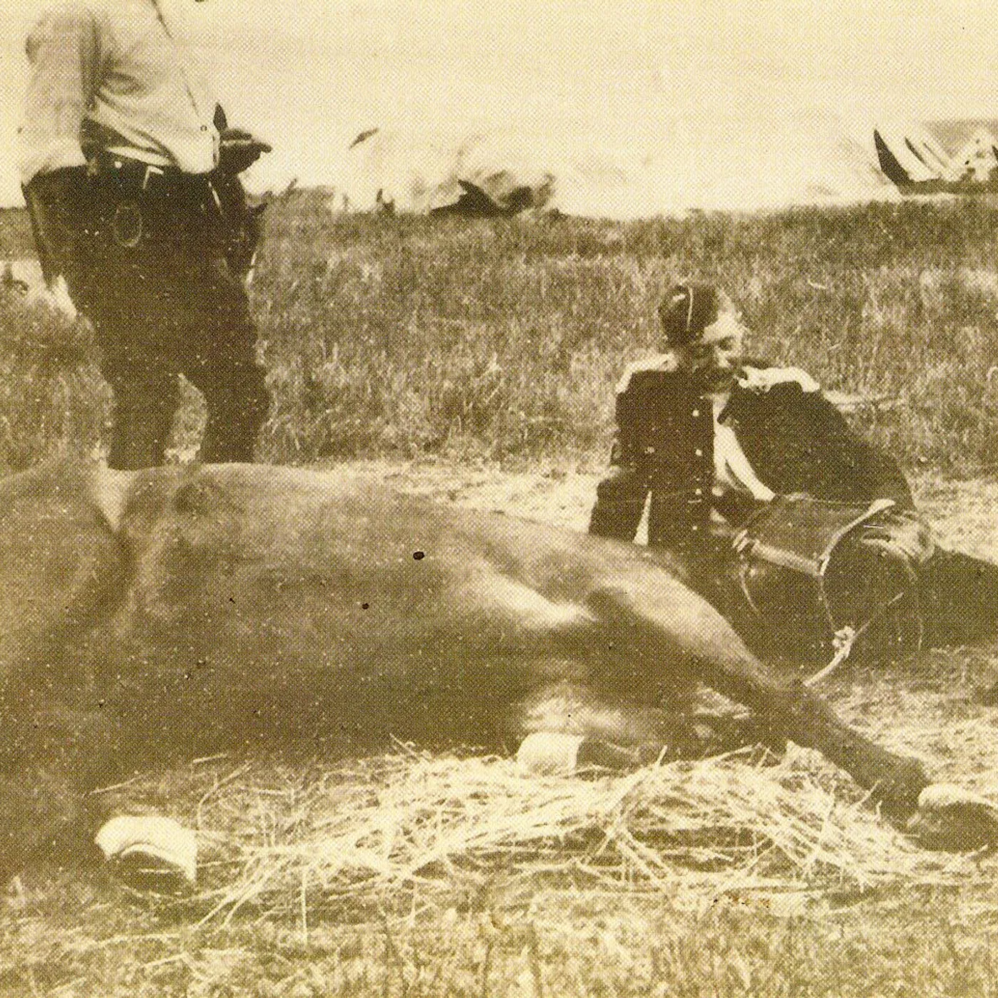 Asva PRESENCES OF ABSENCES CD