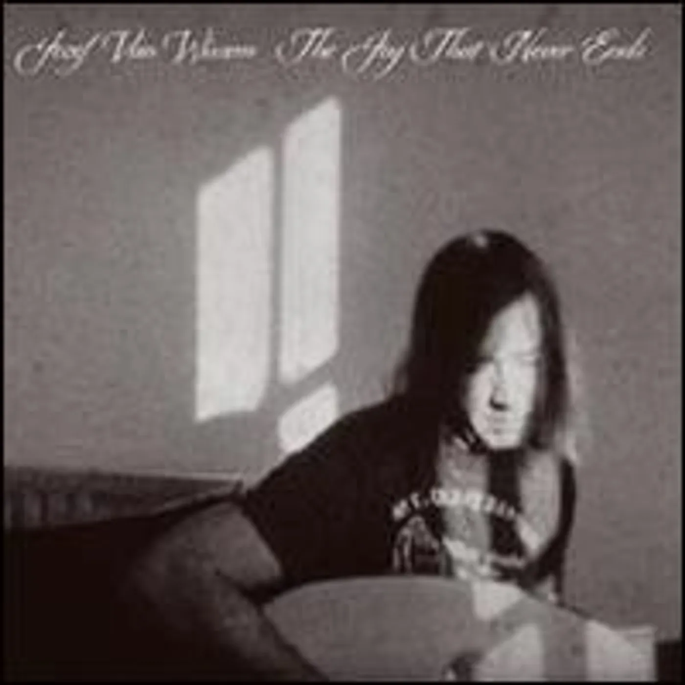 Jozef Van Wissem JOY THAT NEVER ENDS Vinyl Record