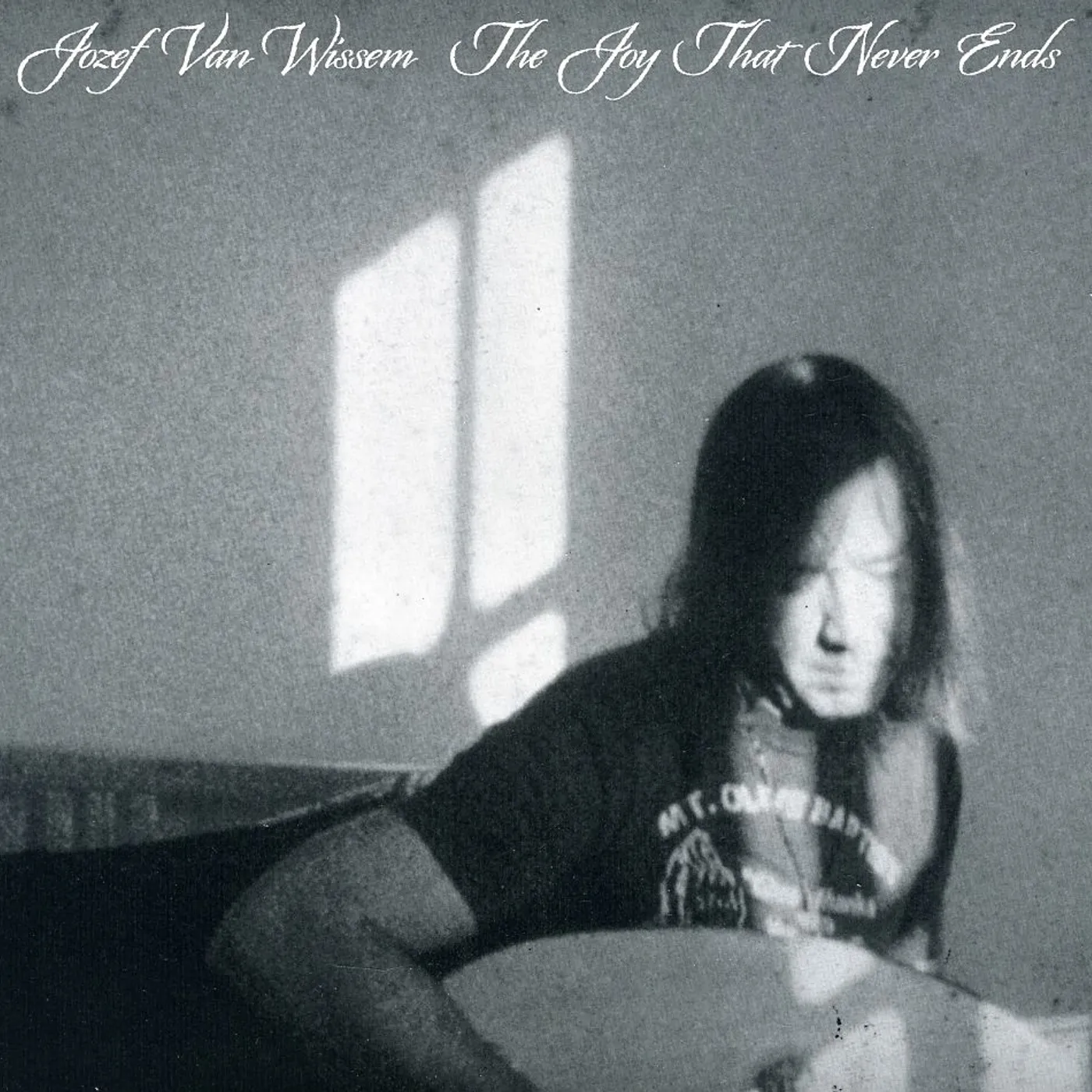 Jozef Van Wissem JOY THAT NEVER ENDS CD