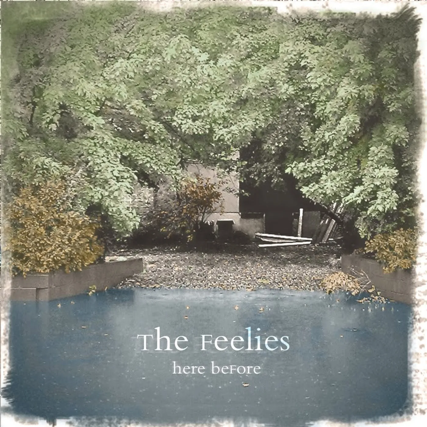 The Feelies Here Before Vinyl Record