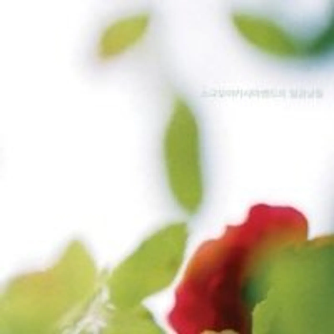 Sogyumo Acacia Band SEVEN DAYS CD