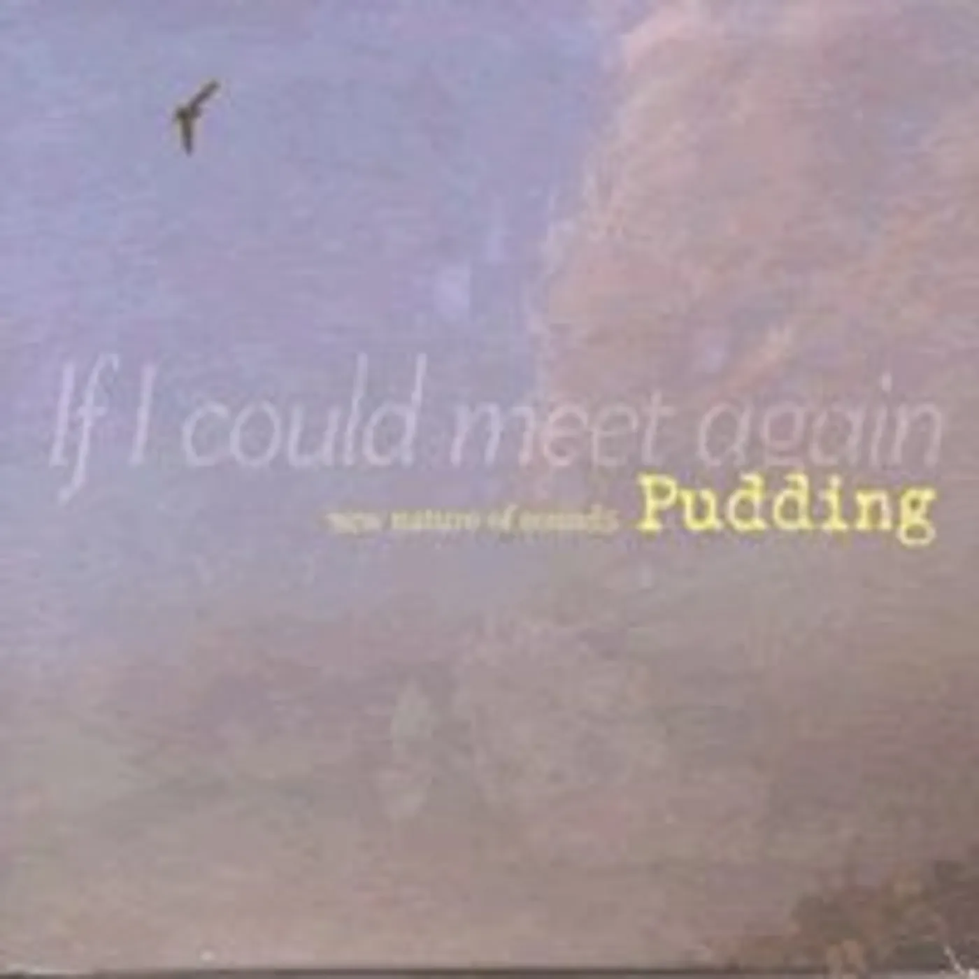 Pudding NEW NATURE OF SOUNDS CD