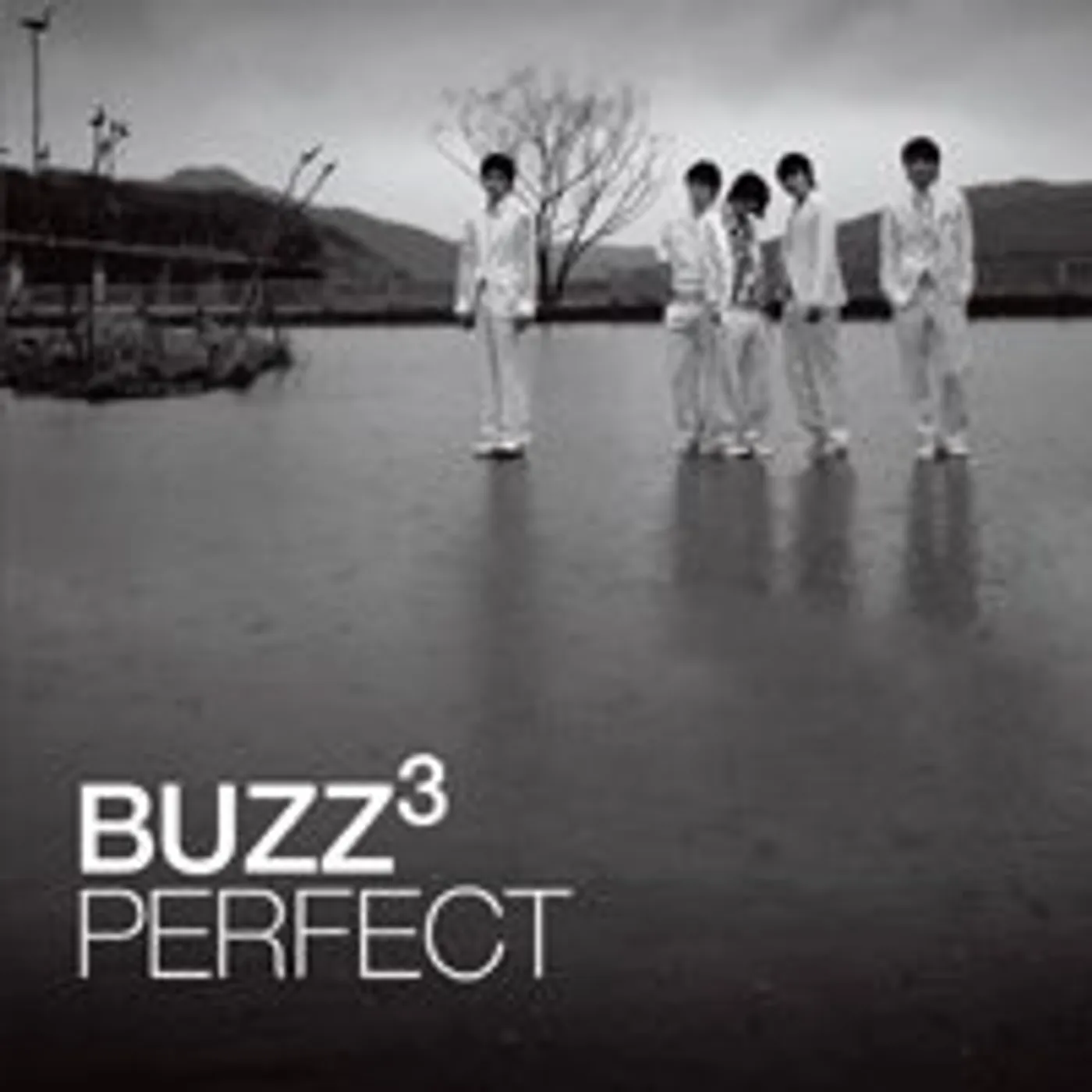 Buzz PPERFECT CD