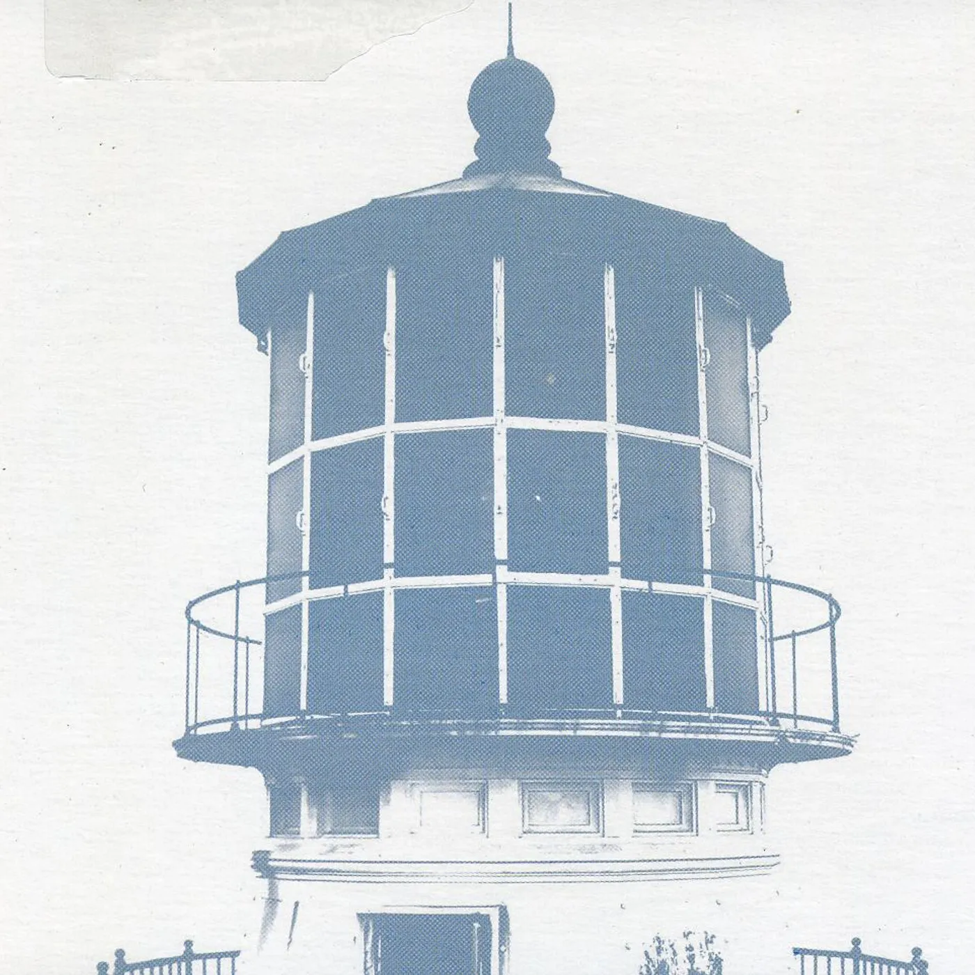 Gold-Bears ARE YOU FALLING IN LOVE CD