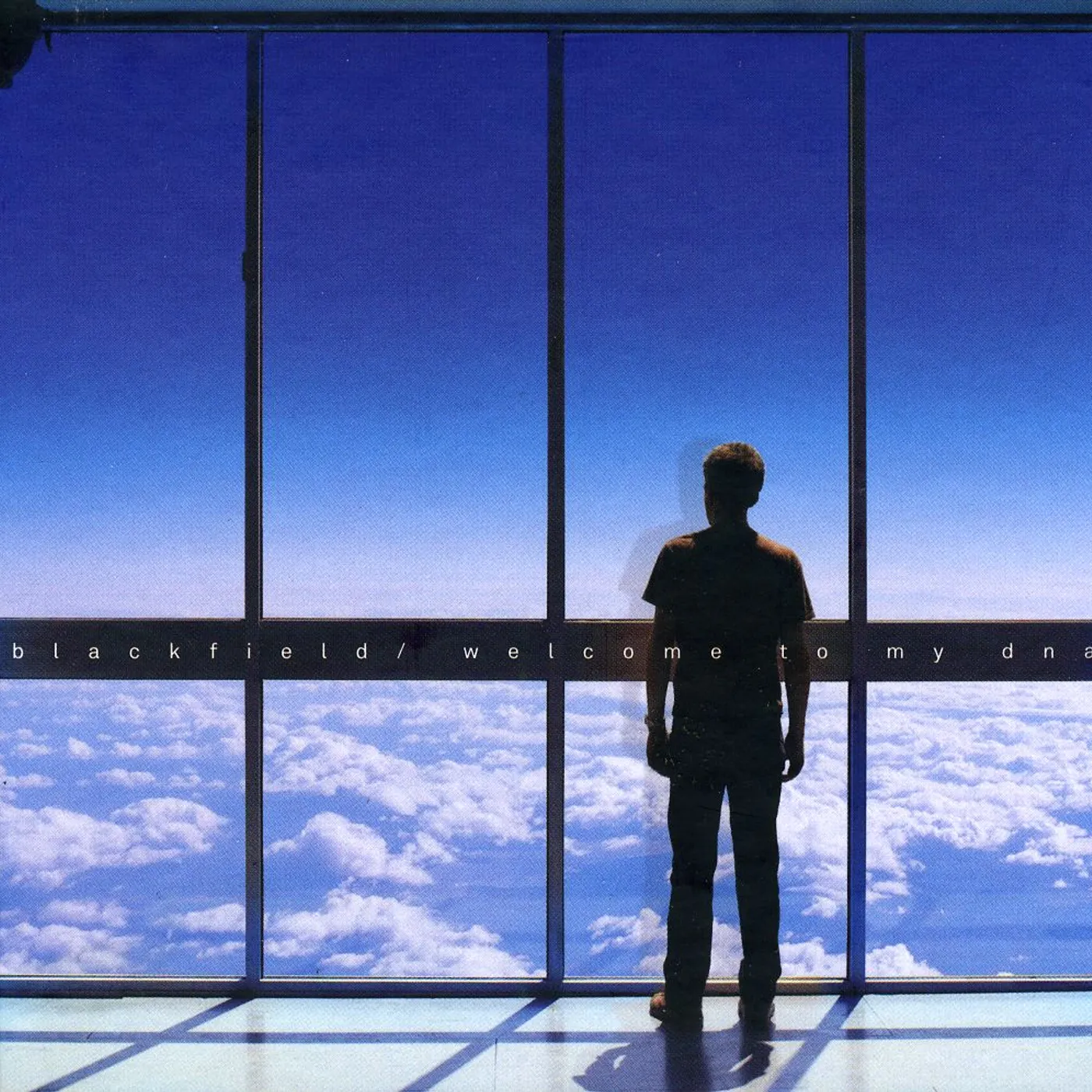 Blackfield WELCOME TO MY DNA CD