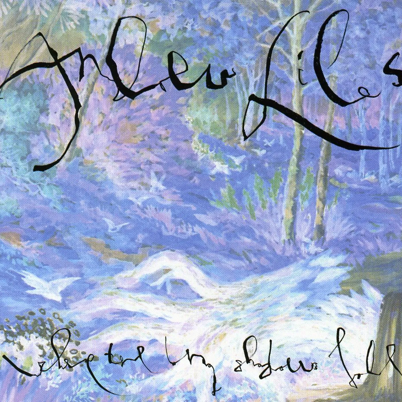 Andrew Liles WHERE THE LONG SHADOWS FALL CD