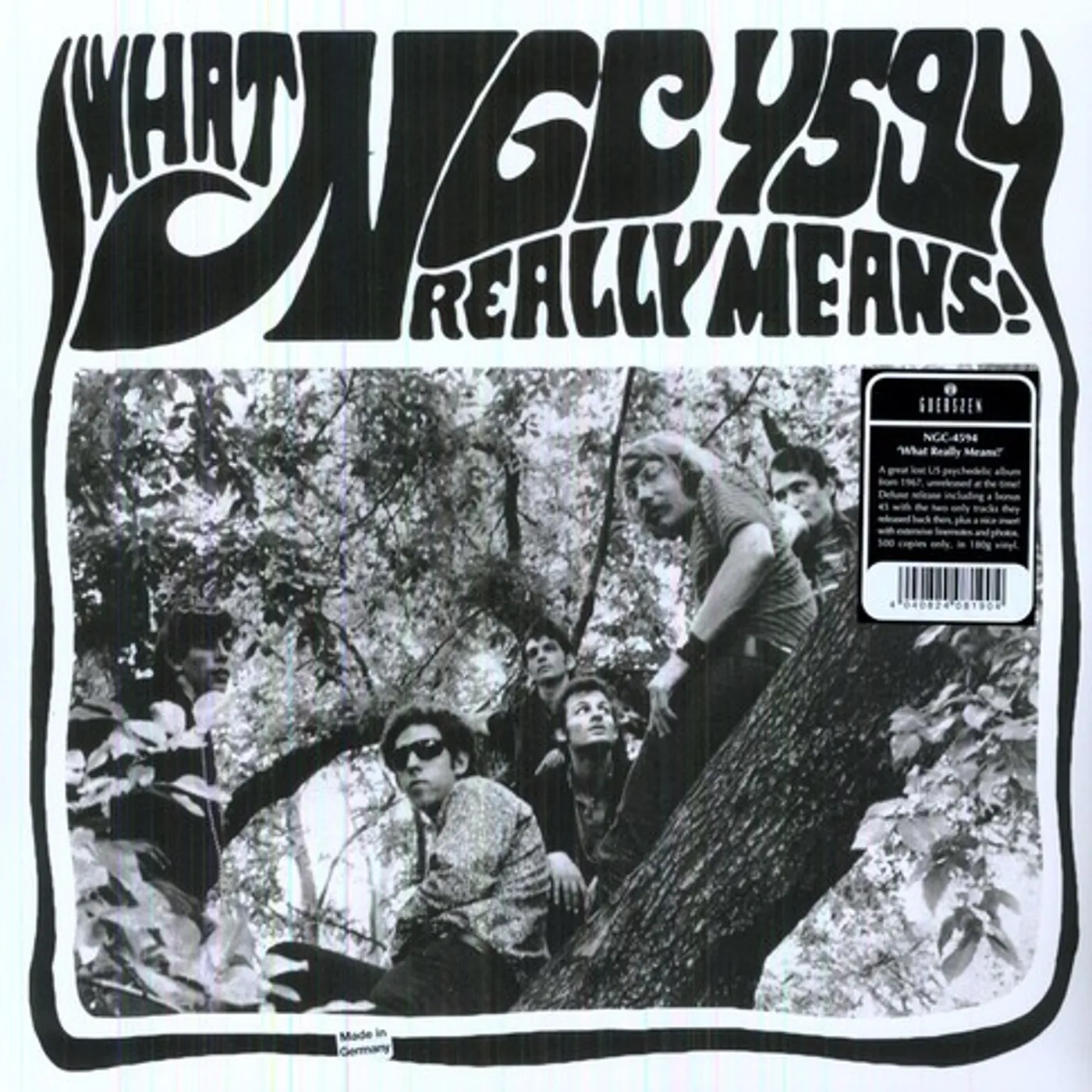 NGC-4594 WHAT REALLY MEANS Vinyl Record