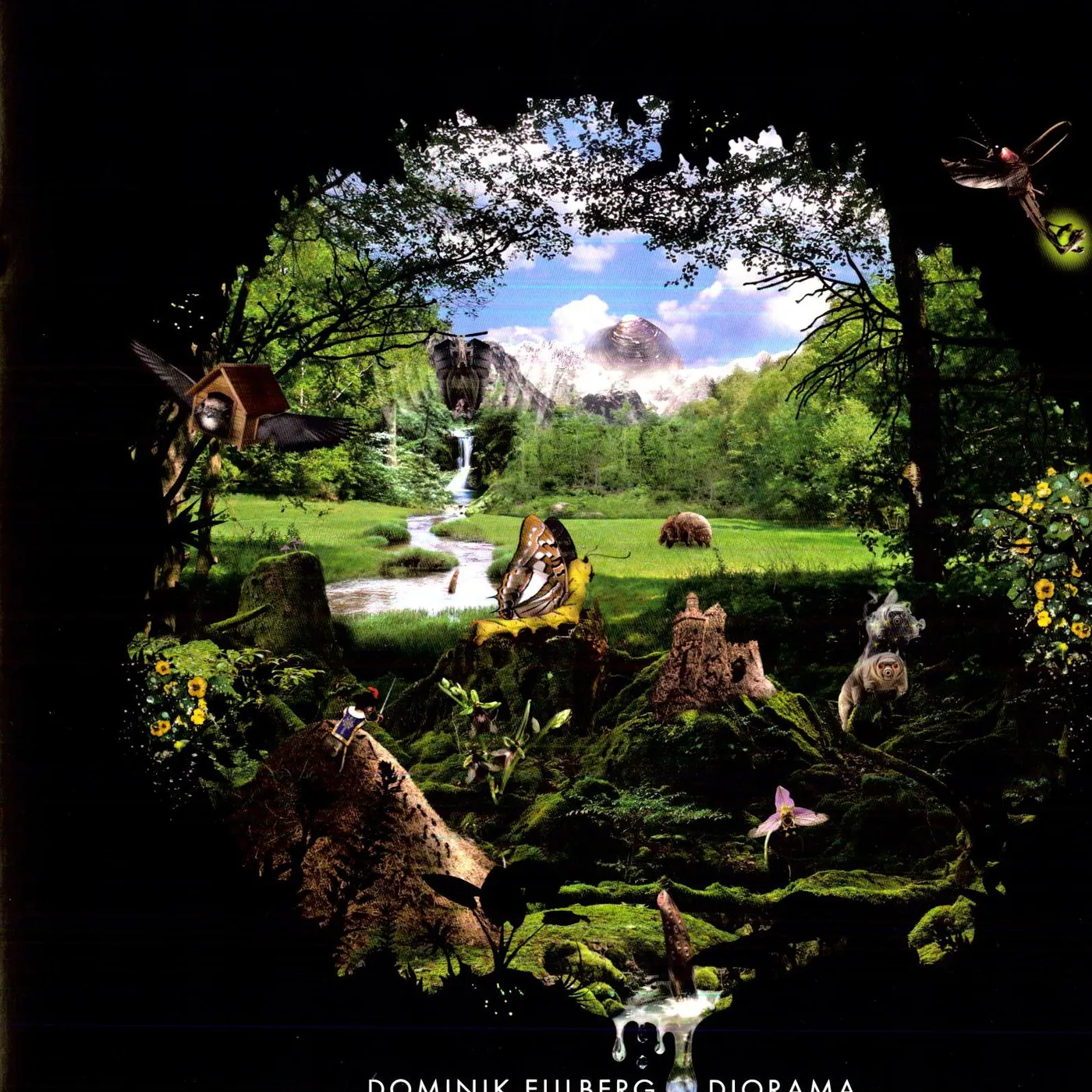 Dominik Eulberg Diorama Vinyl Record