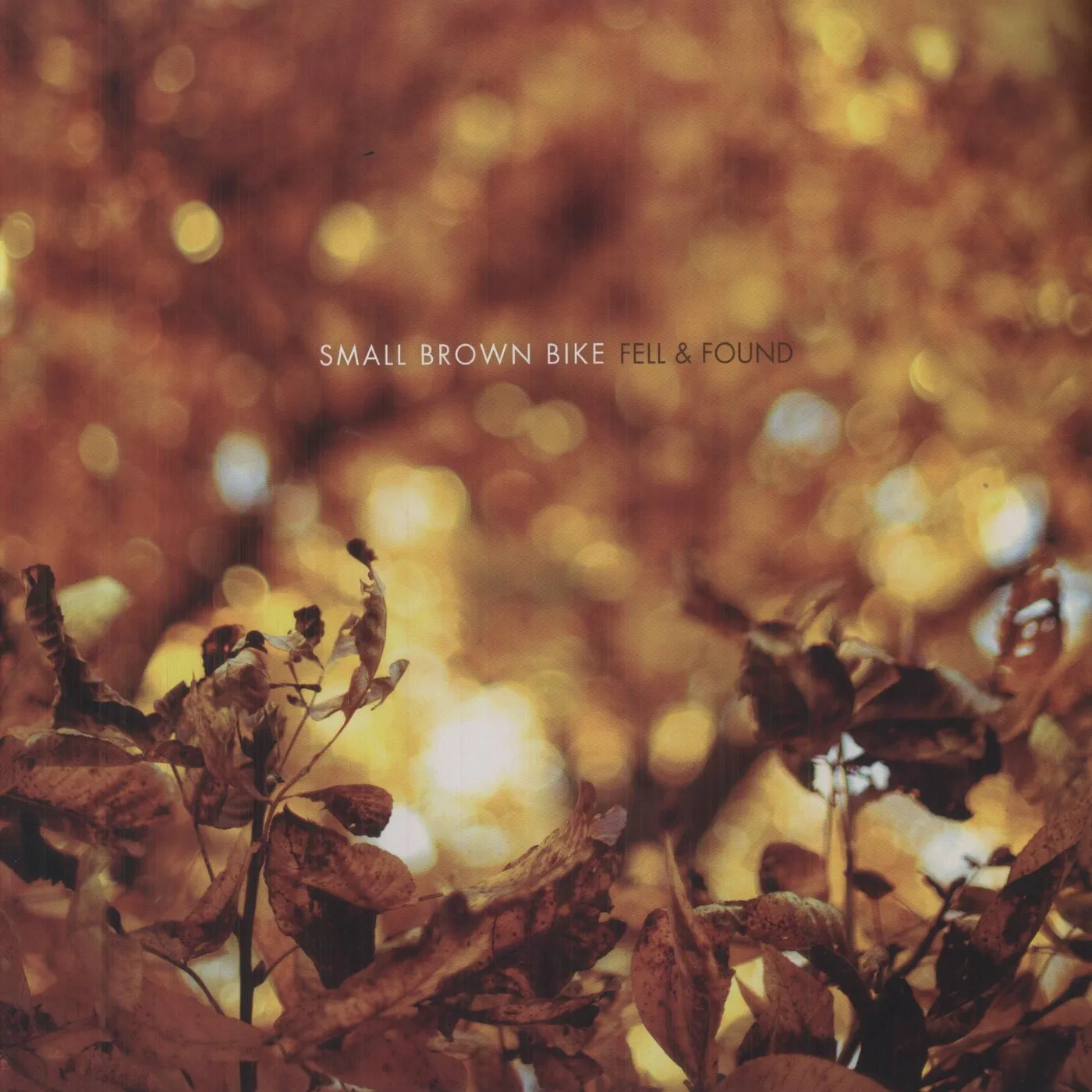 Small Brown Bike Fell & Found Vinyl Record