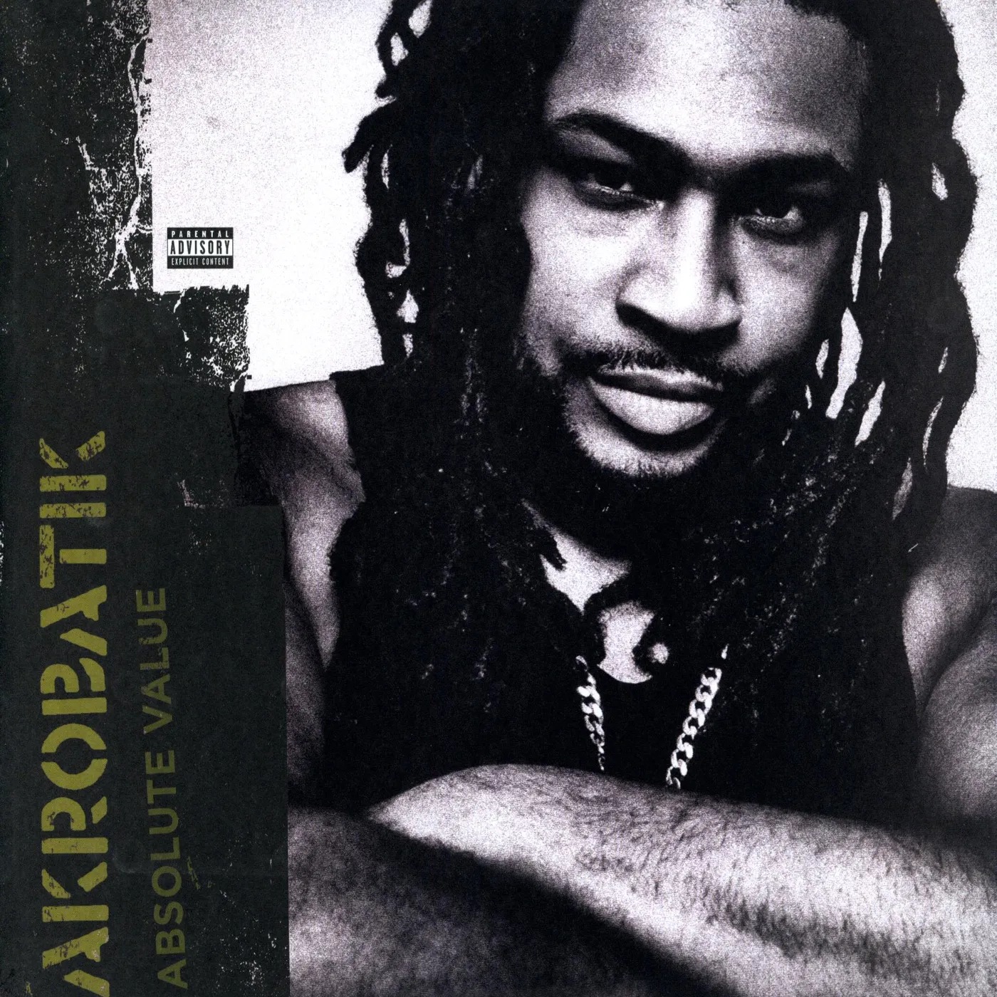 Akrobatik Absolute Value Vinyl Record