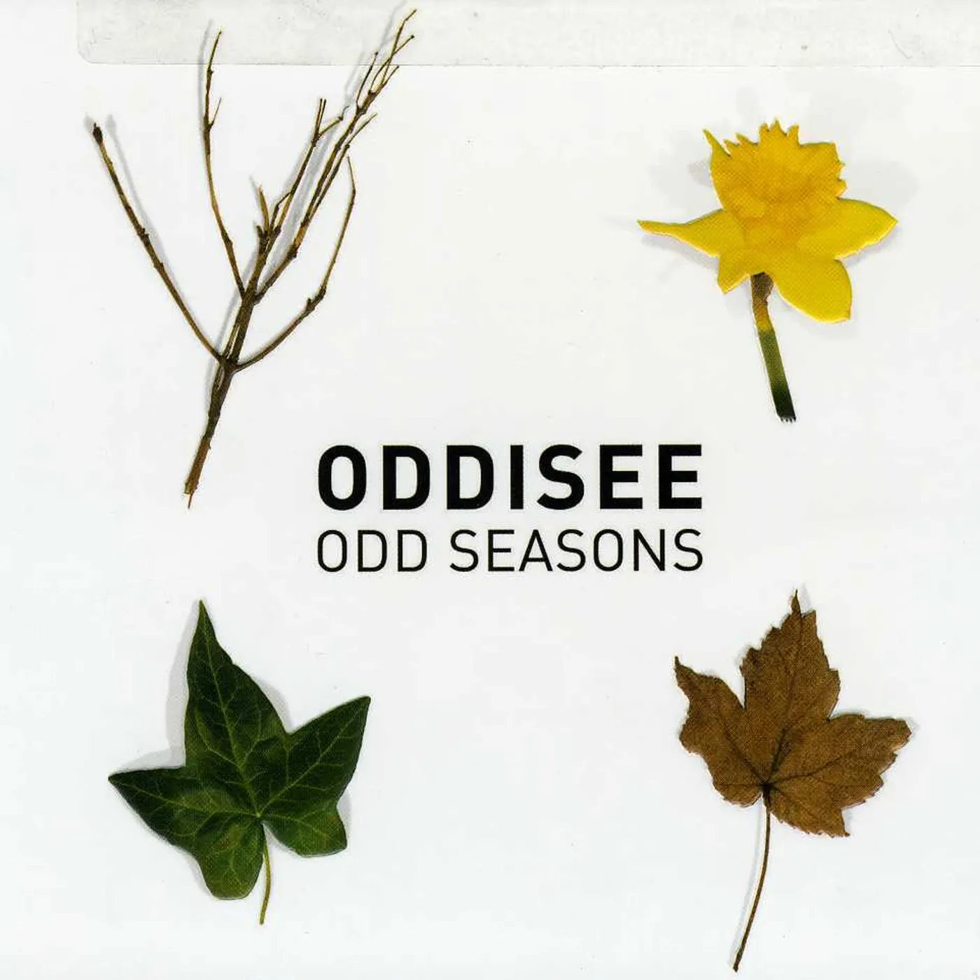 Oddisee ODD SEASONS CD