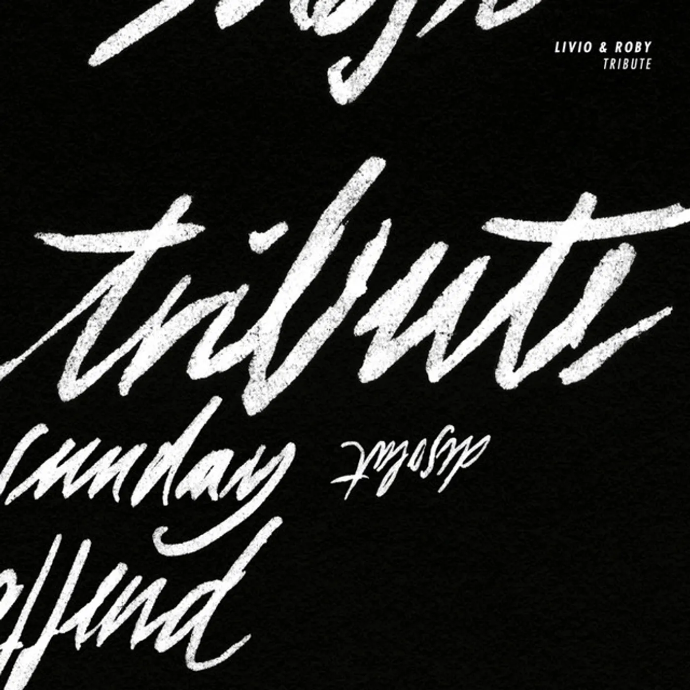 Livio & Roby Tribute Vinyl Record