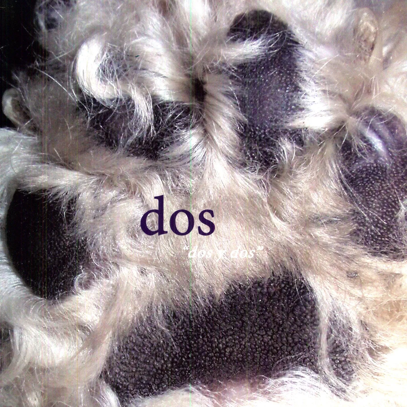 DOS Y DOS Vinyl Record - Digital Download Included, Colored Vinyl