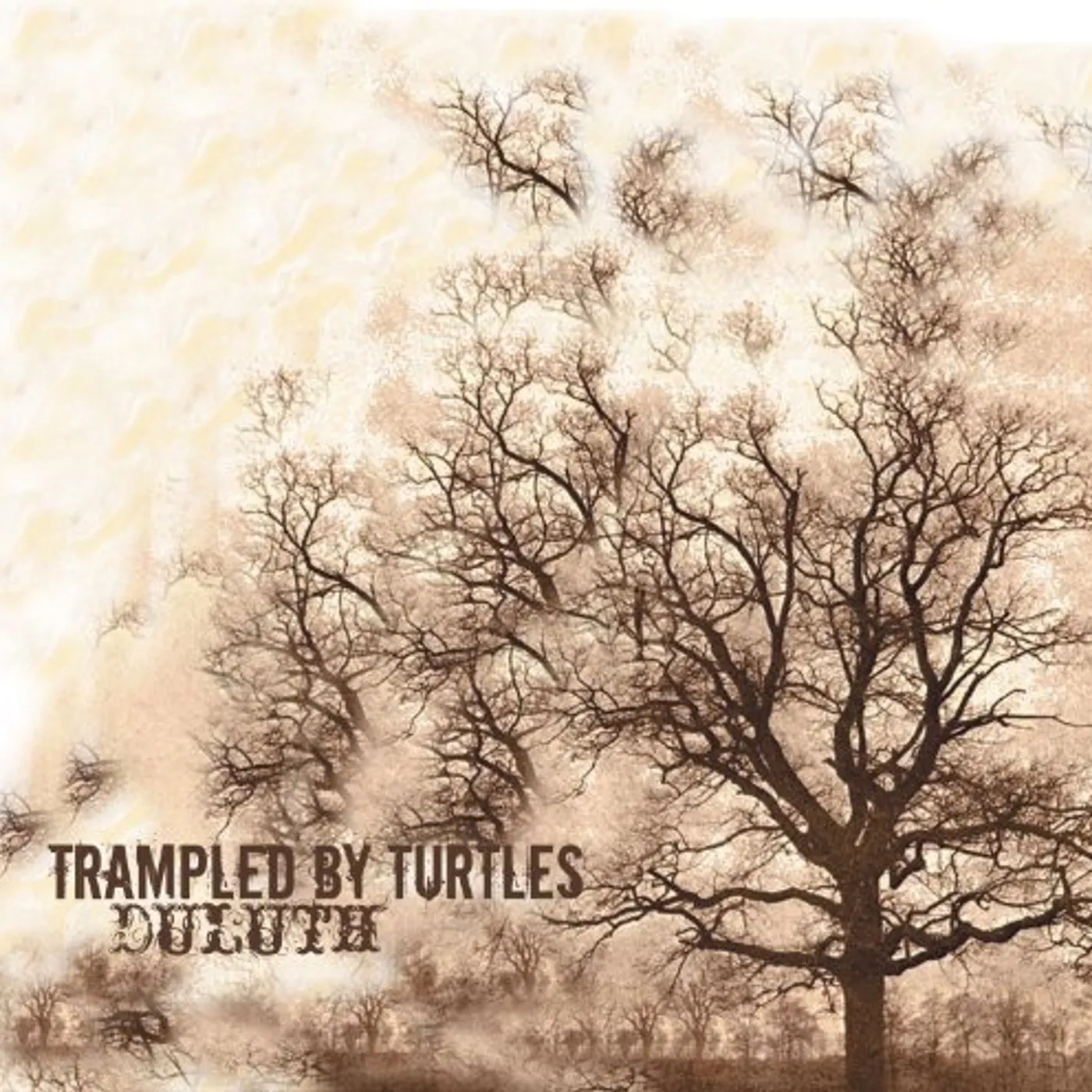 Trampled by Turtles Duluth Vinyl Record