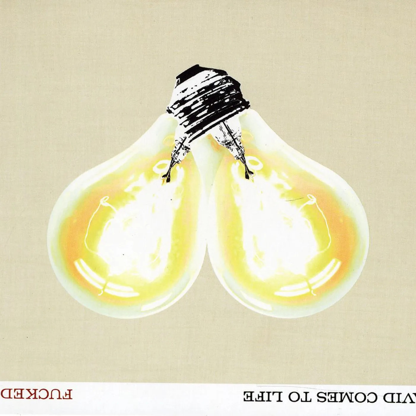 Fucked Up DAVID COMES TO LIFE CD