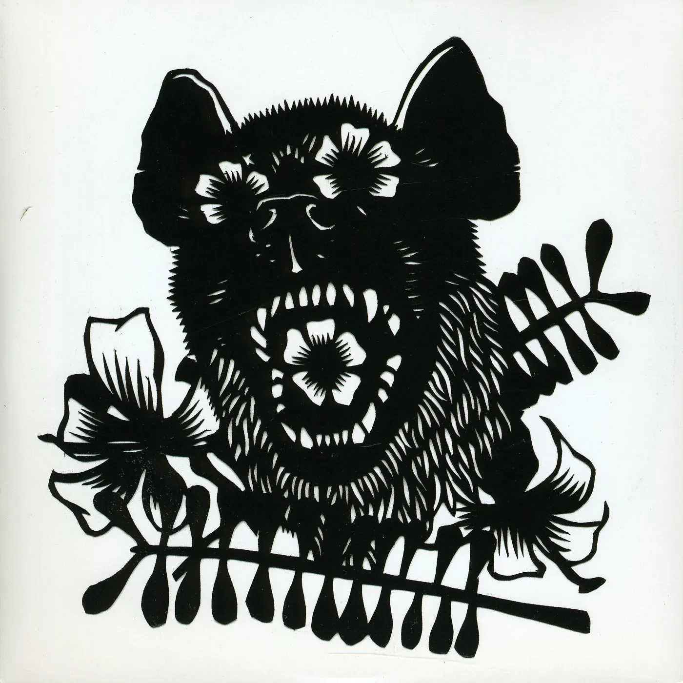 Okkervil River Rider b/w I Guess We Lost Vinyl Record