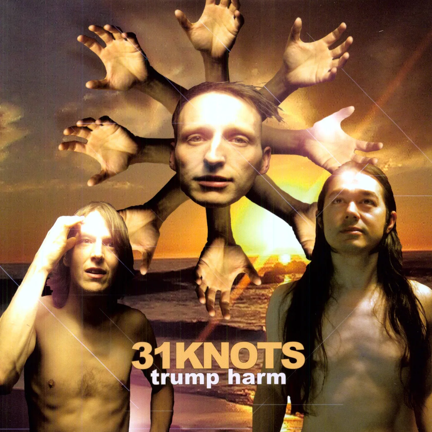 31Knots Trump Harm Vinyl Record