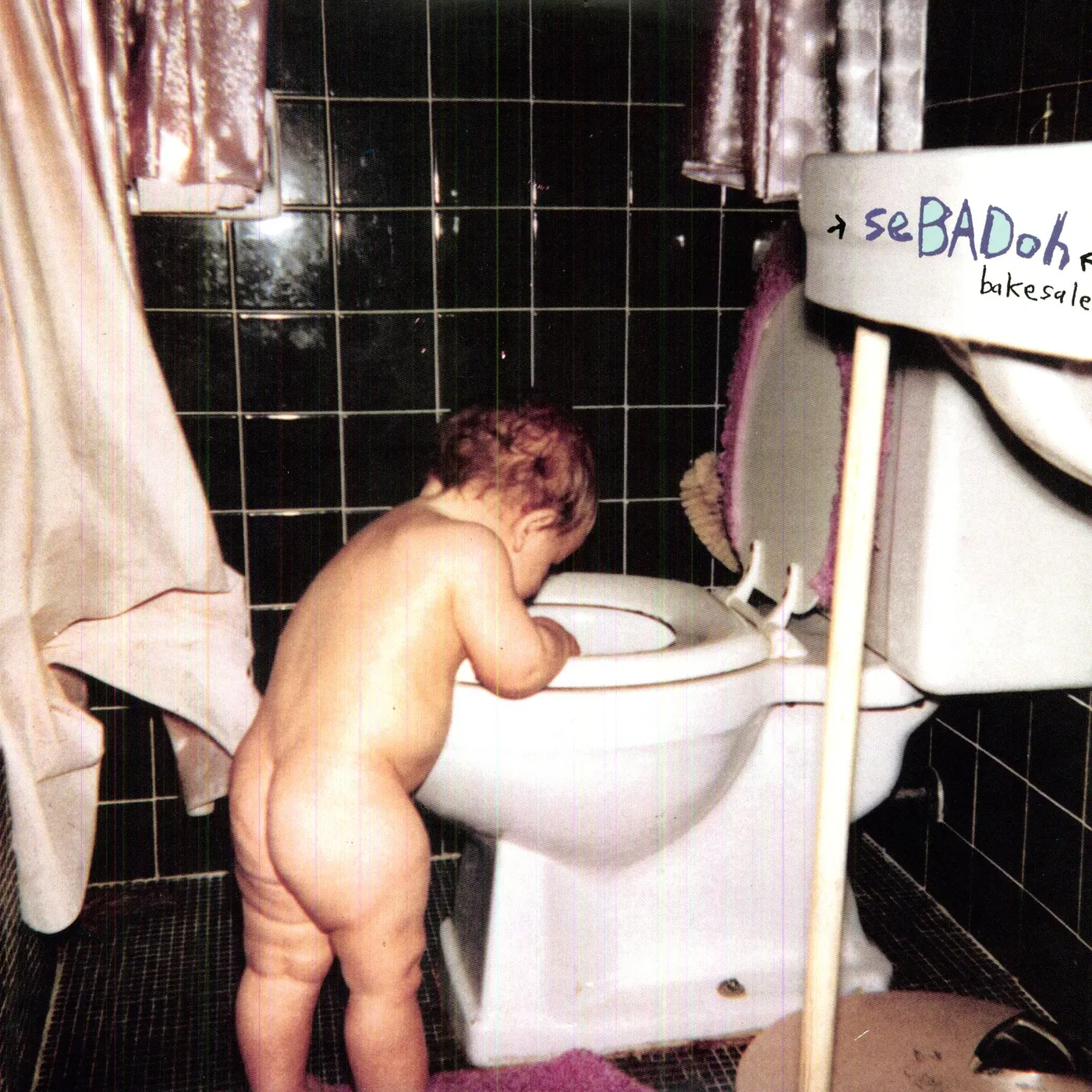 Sebadoh Bakesale Vinyl Record