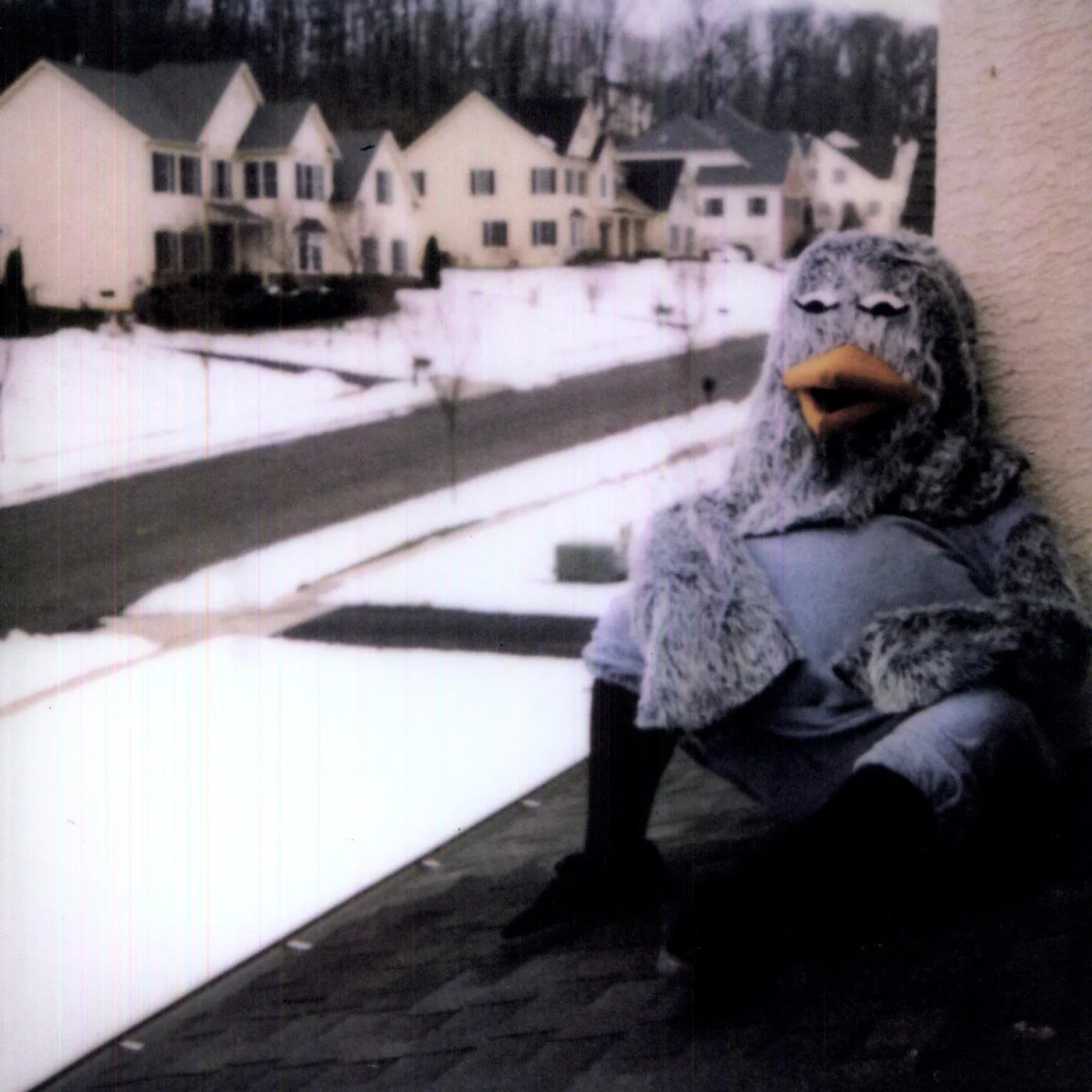 The Wonder Years SUBURBIA I'VE GIVEN YOU ALL & NOW IM NOTHING Vinyl Record