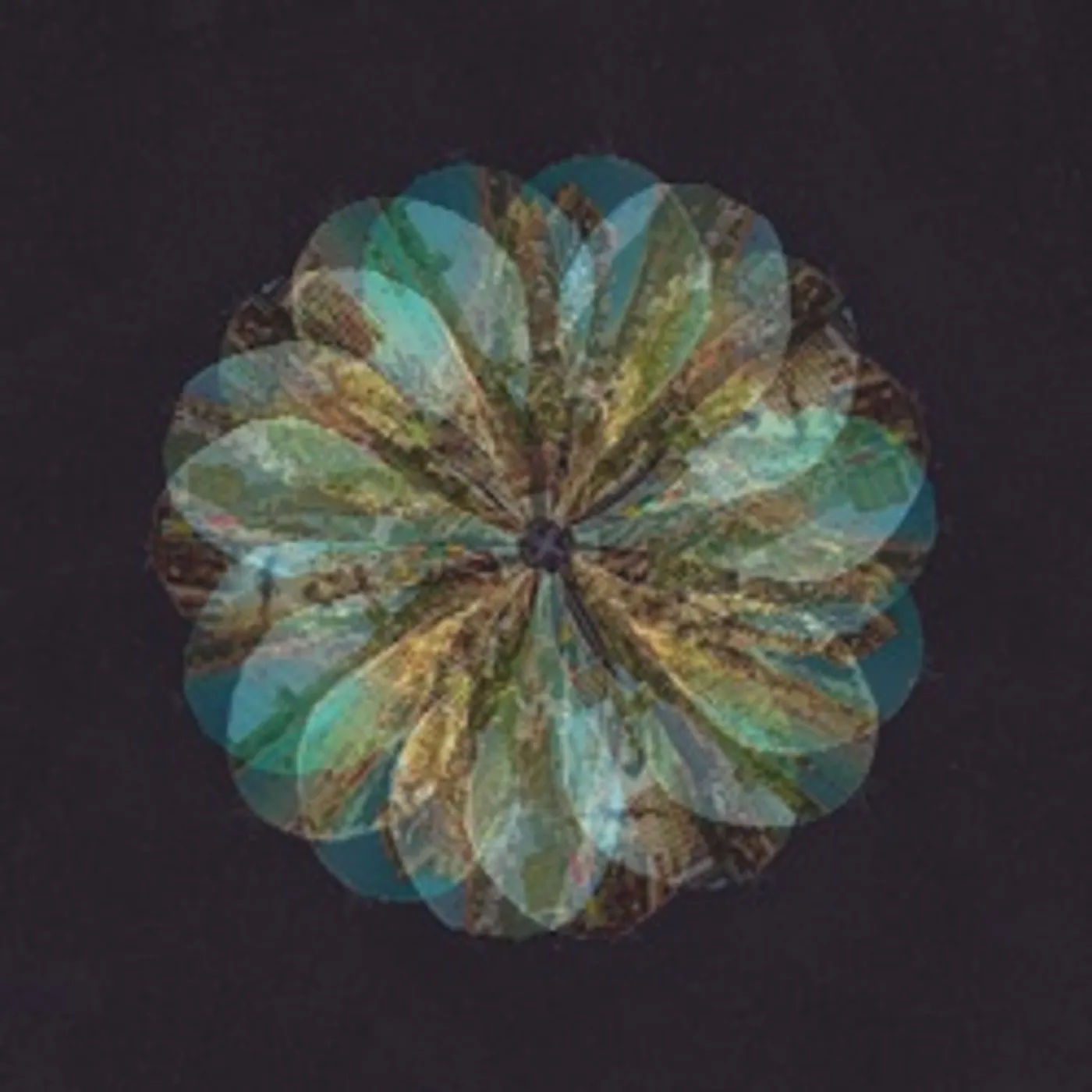 Tuusanuuskat NAAKSAA NAA MUN KYYNELEET Vinyl Record