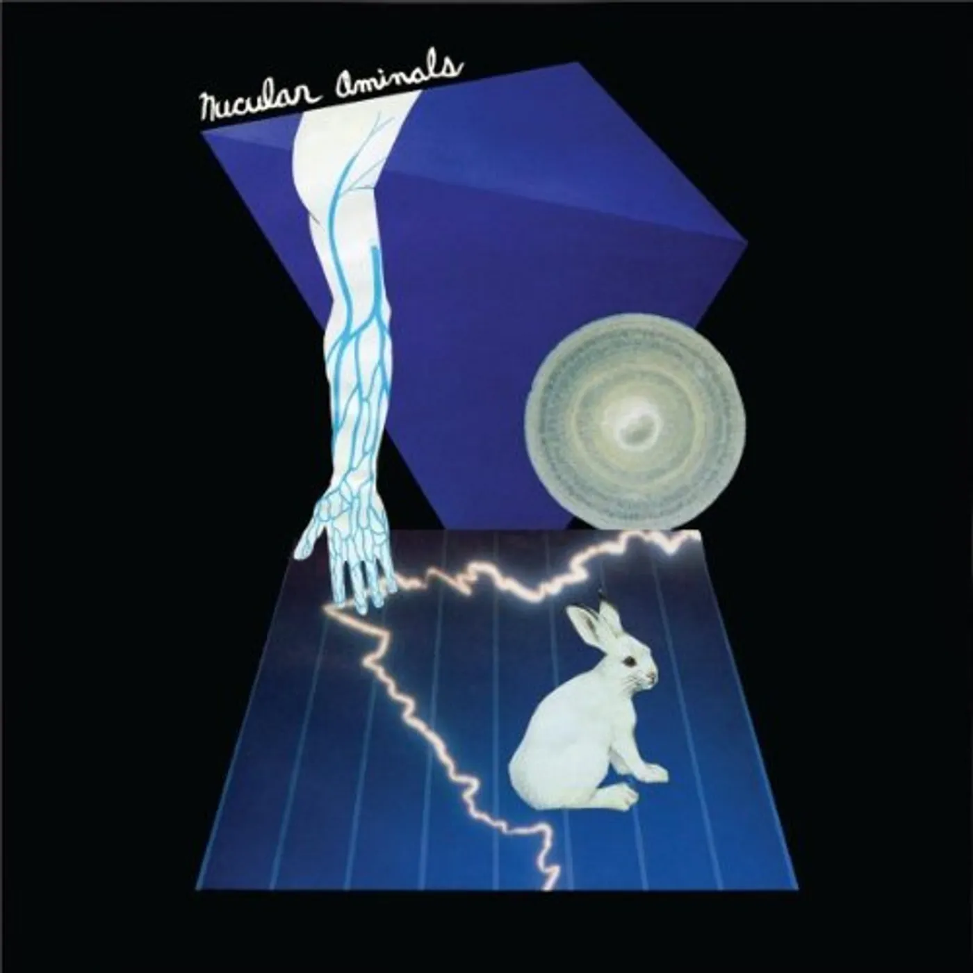 Nucular Aminals Vinyl Record