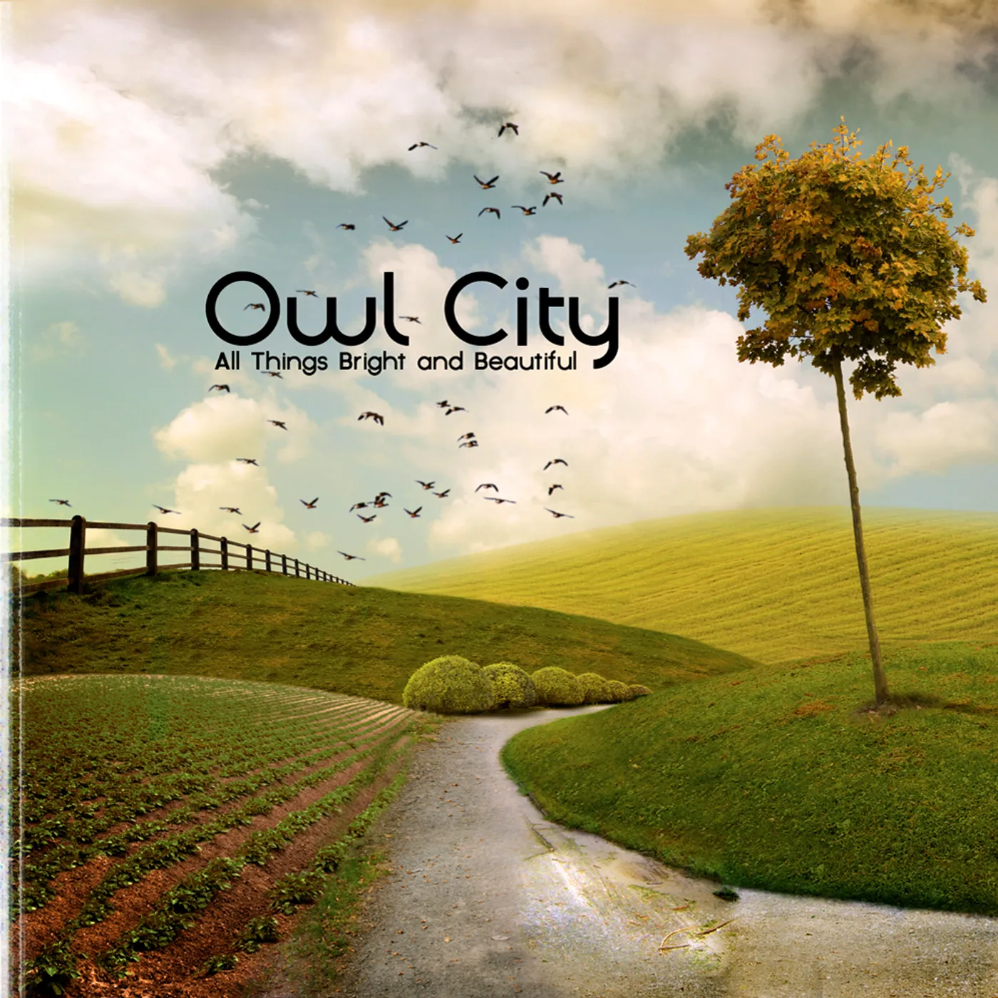 Owl City ALL THINGS BRIGHT & BEAUTIFUL CD