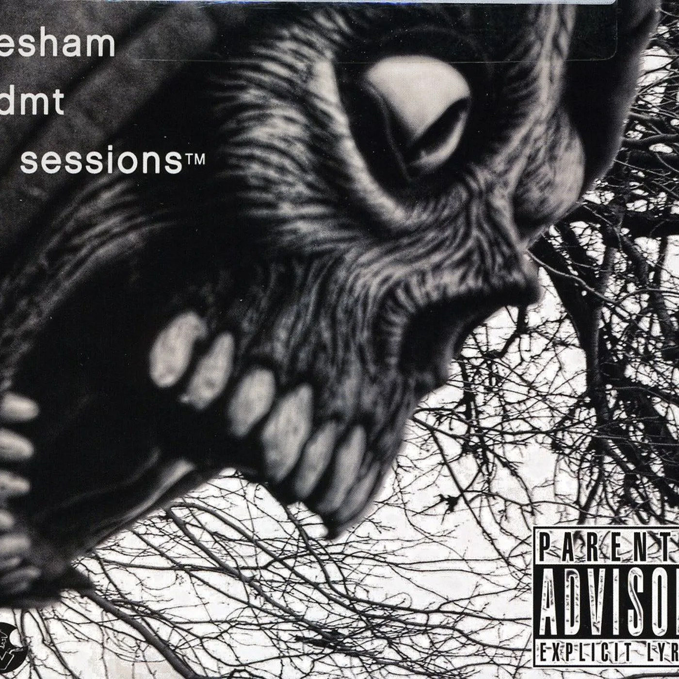 Esham DMT SESSIONS CD