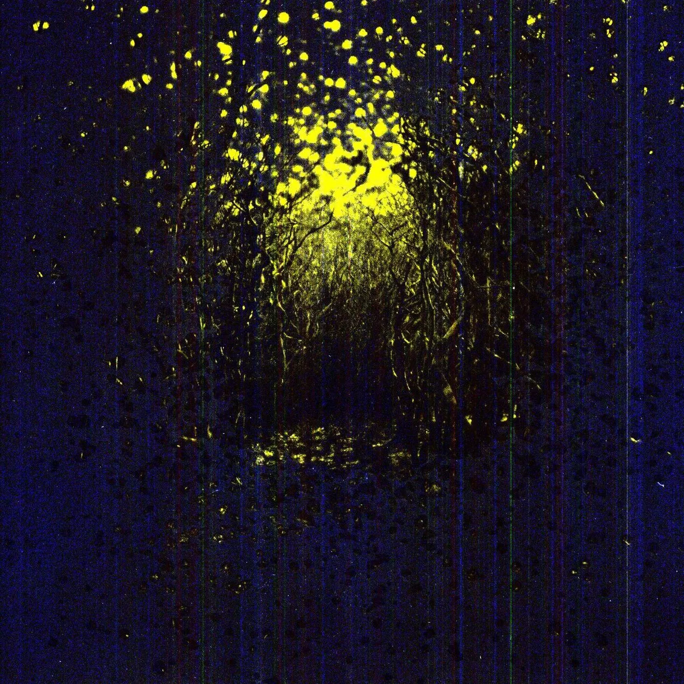 Antlers Burst Apart Vinyl Record