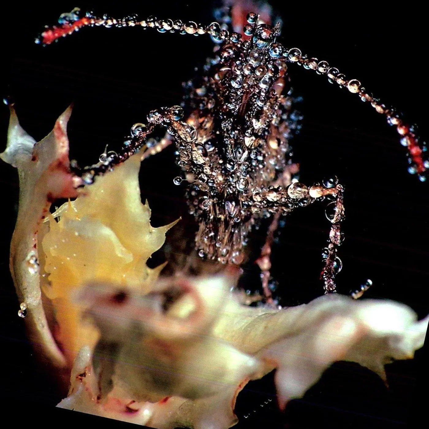 Gang Gang Dance Eye Contact Vinyl Record