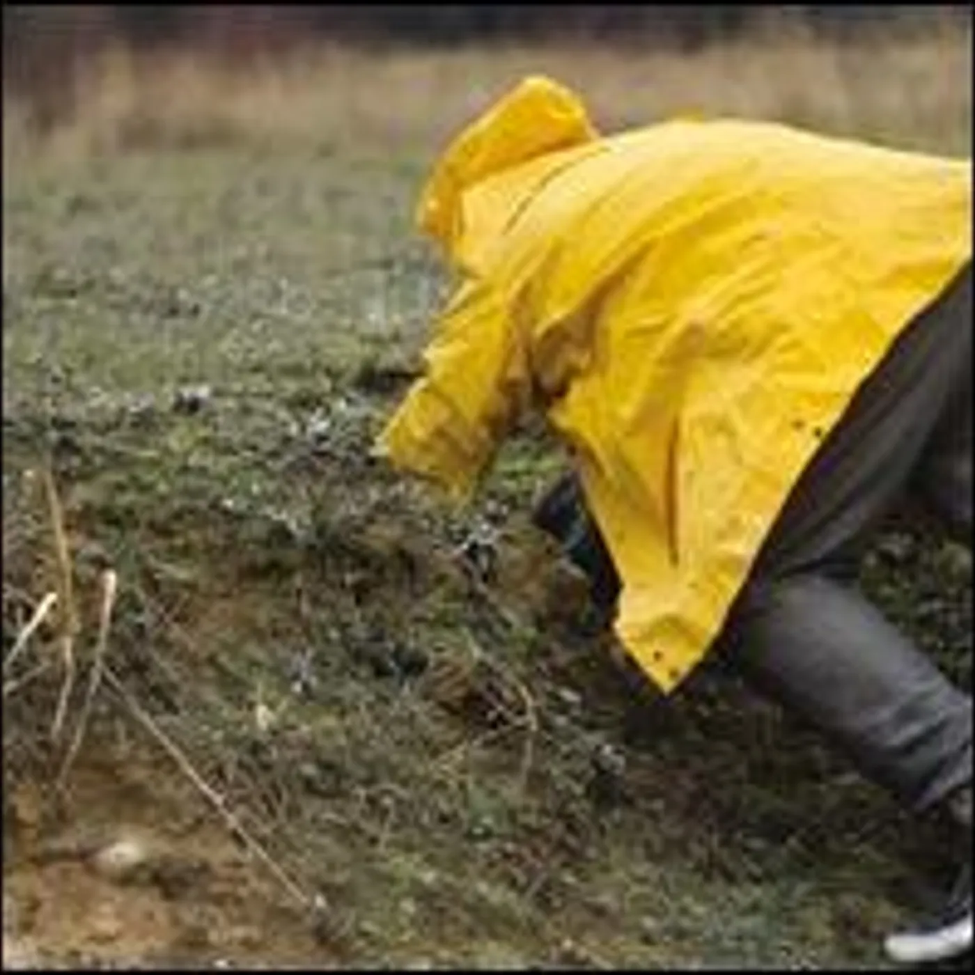 Mollono.Bass MY HIDDEN PLAYGROUND PART 2 Vinyl Record