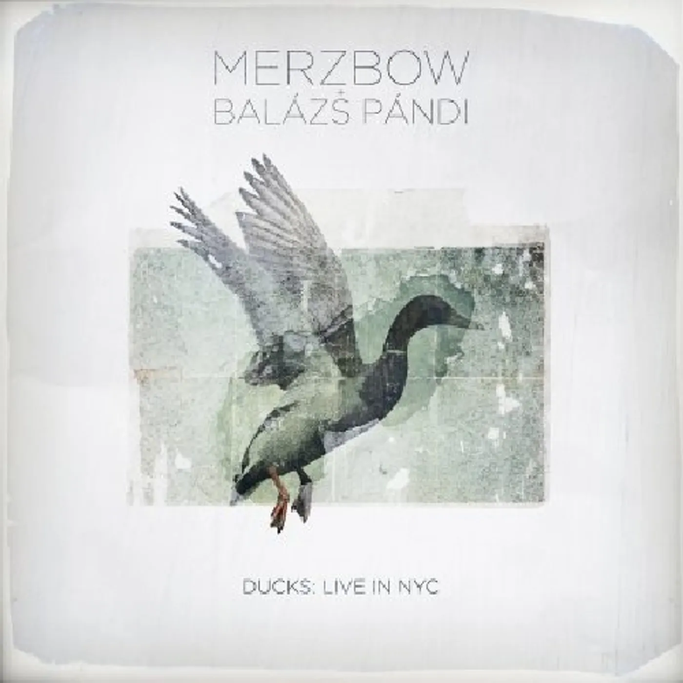 Merzbow + Balázs Pándi DUCKS: LIVE IN NYC CD