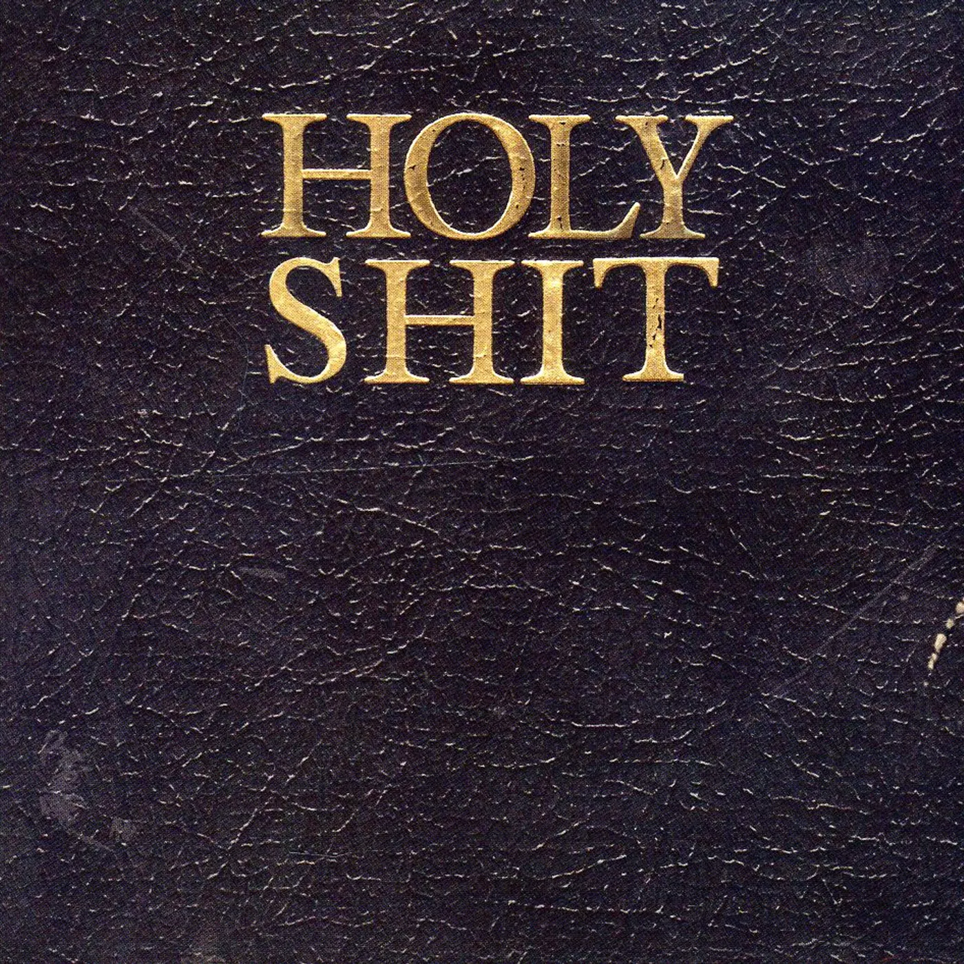 Living With Lions HOLY SHIT CD