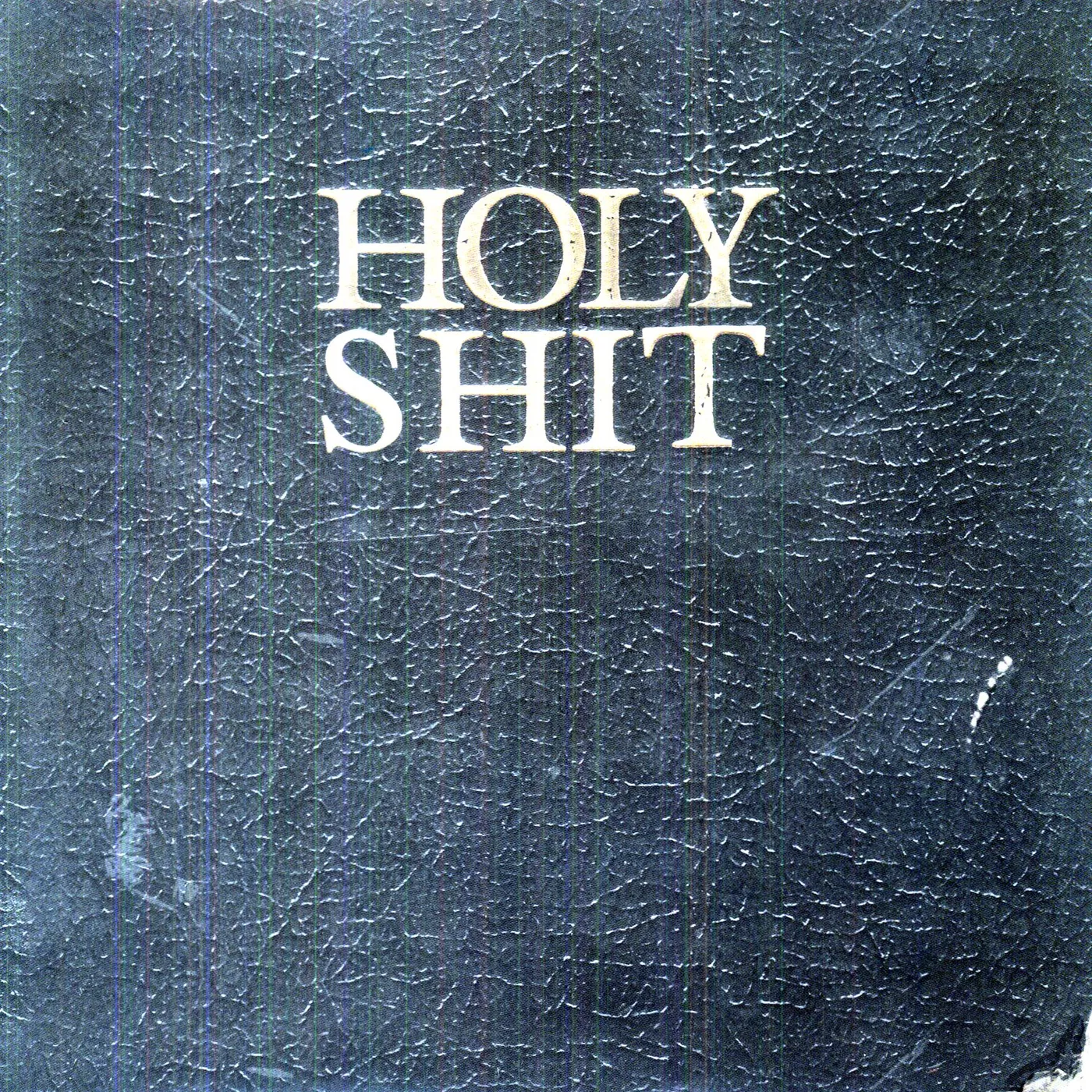 Living With Lions HOLY SHIT (Vinyl)