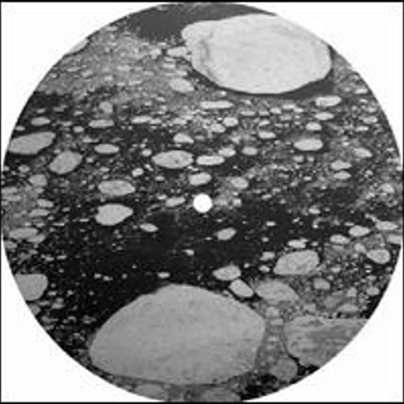 Goldfish Und Der Dulz POOL Vinyl Record