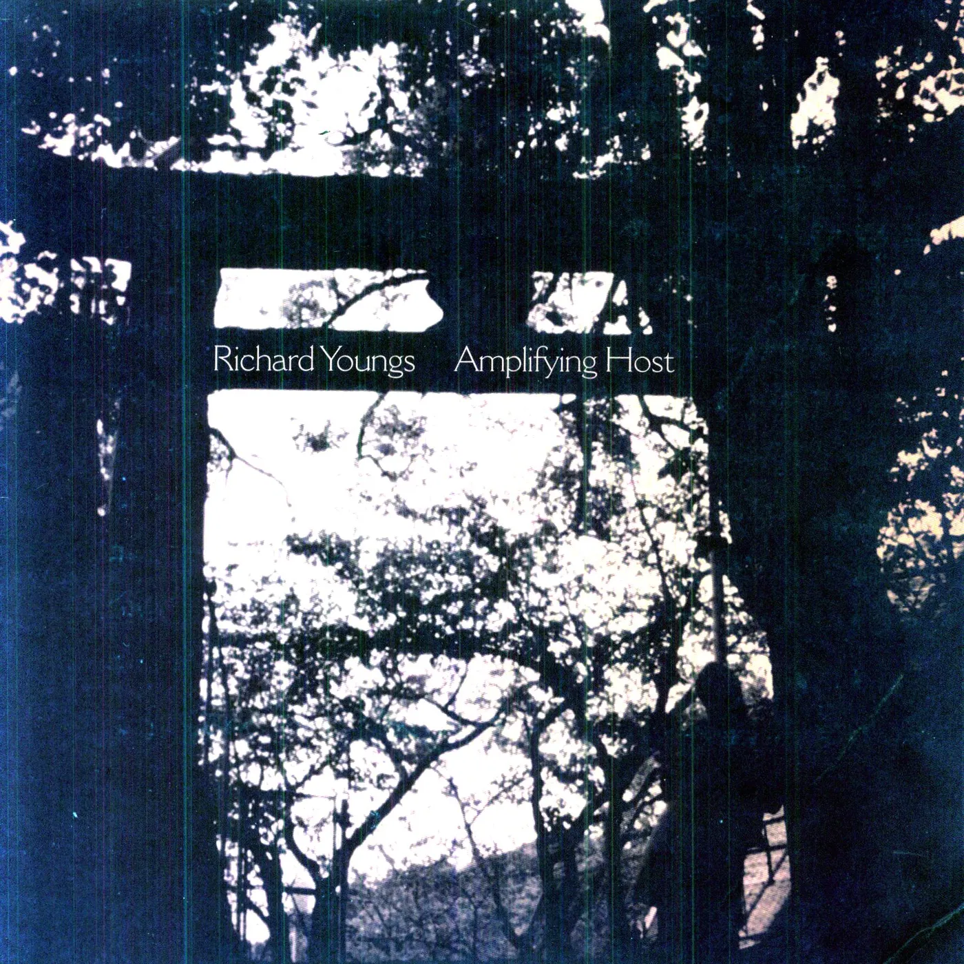 Richard Youngs Amplifying Host Vinyl Record