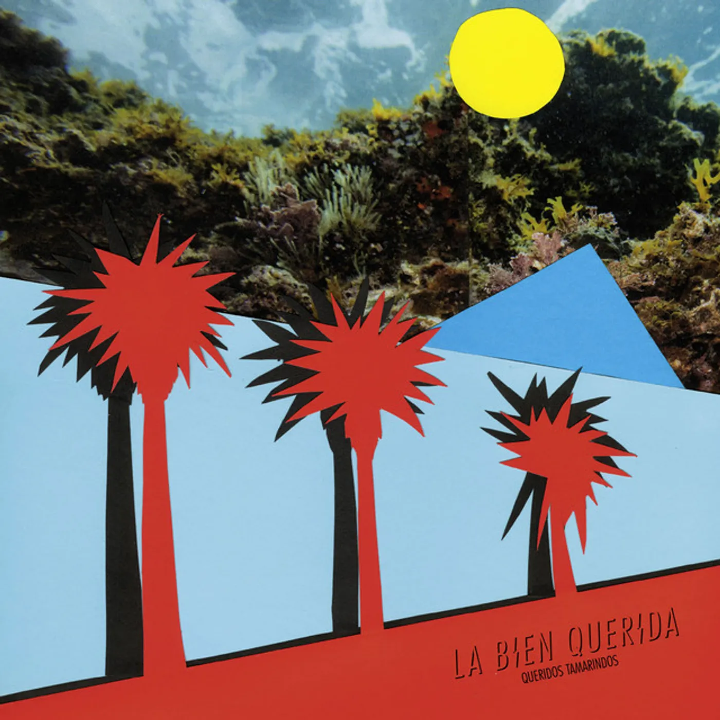 Bien Querida Queridos Tamarindos Vinyl Record