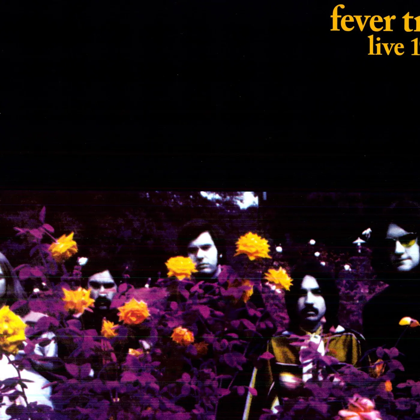 Fever Tree Live 1969 Vinyl Record