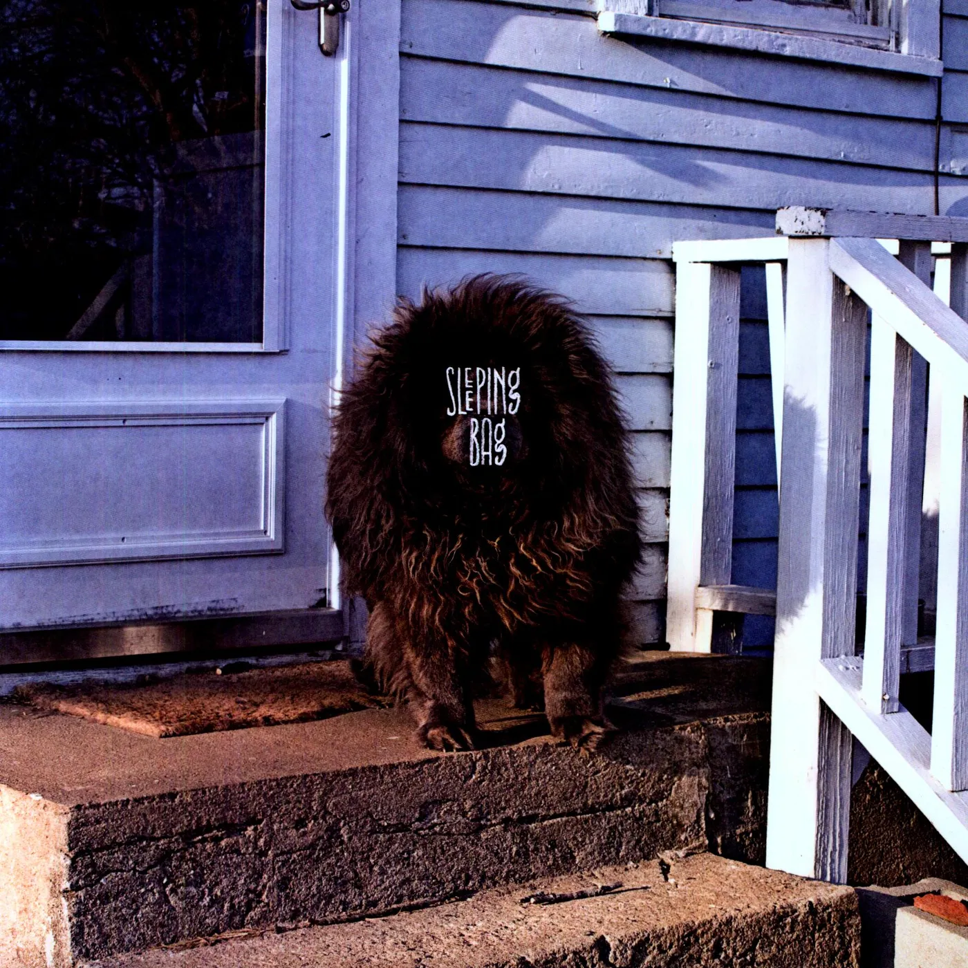 Sleeping Bag Vinyl Record