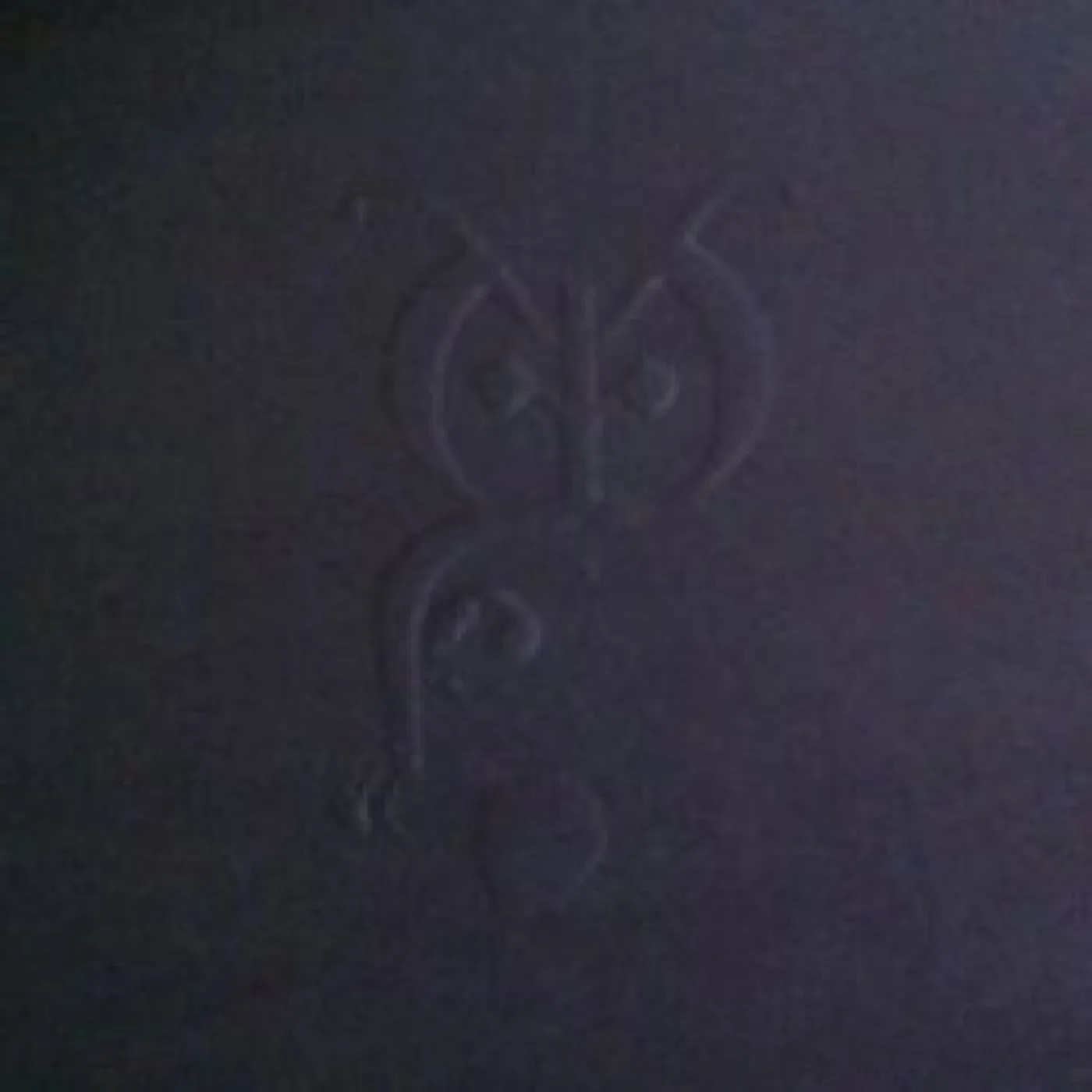 OWLS The Night Stays Vinyl Record