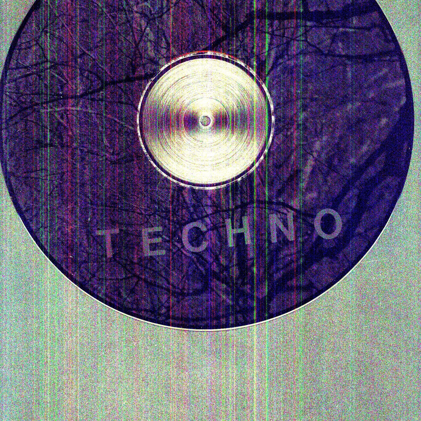 Panda Bear Surfers Hymn Vinyl Record